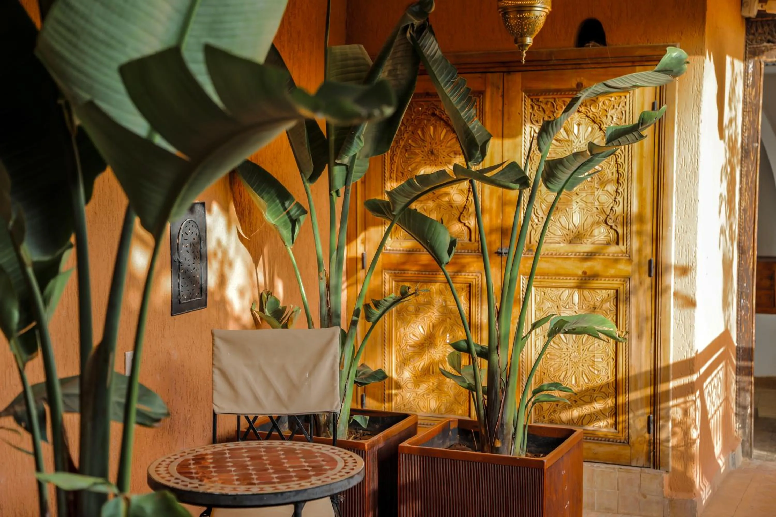 Garden in Riad Anya & SPA