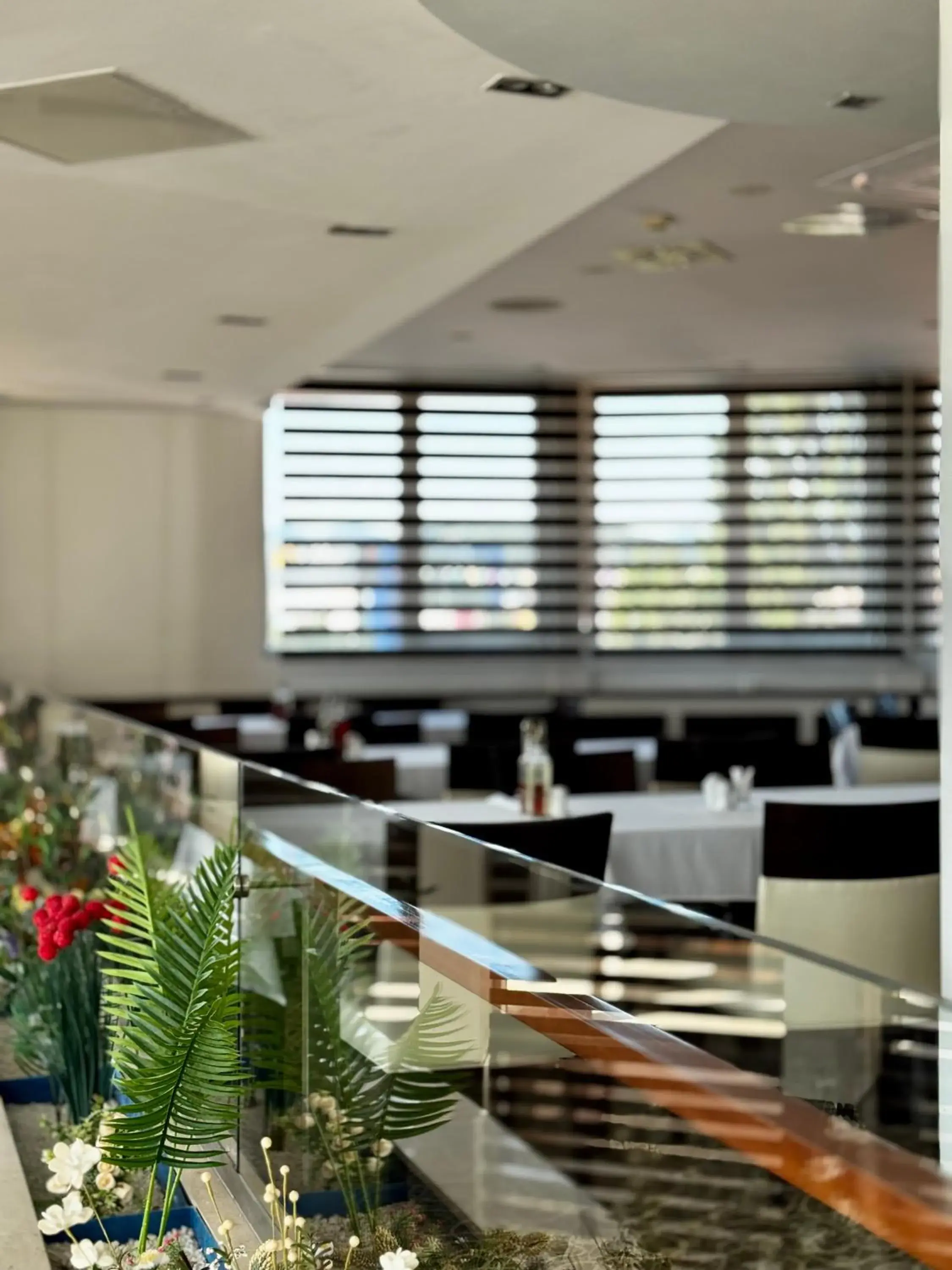 Restaurant/places to eat in Hotel Exclusive Restaurant/places to eat in Hotel Exclusive