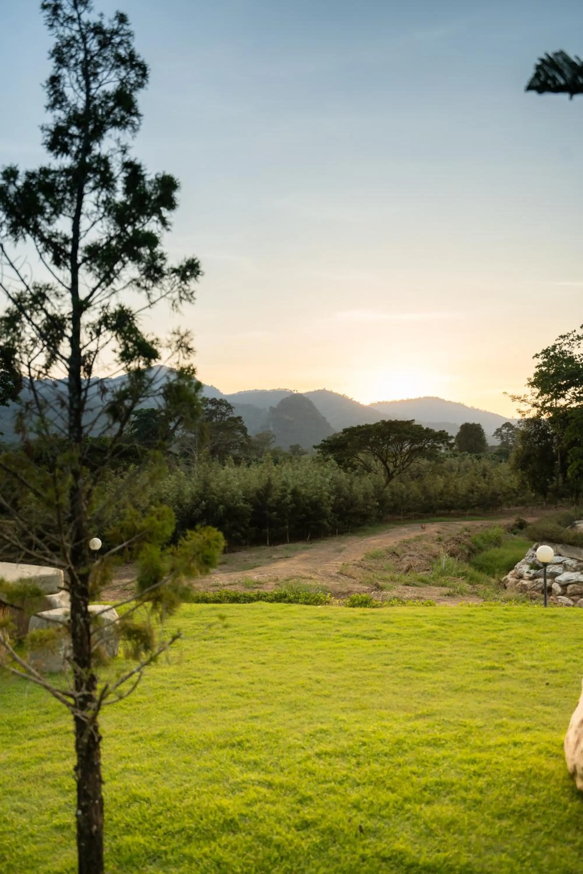 Area and facilities in Thara Dara Khaoyai