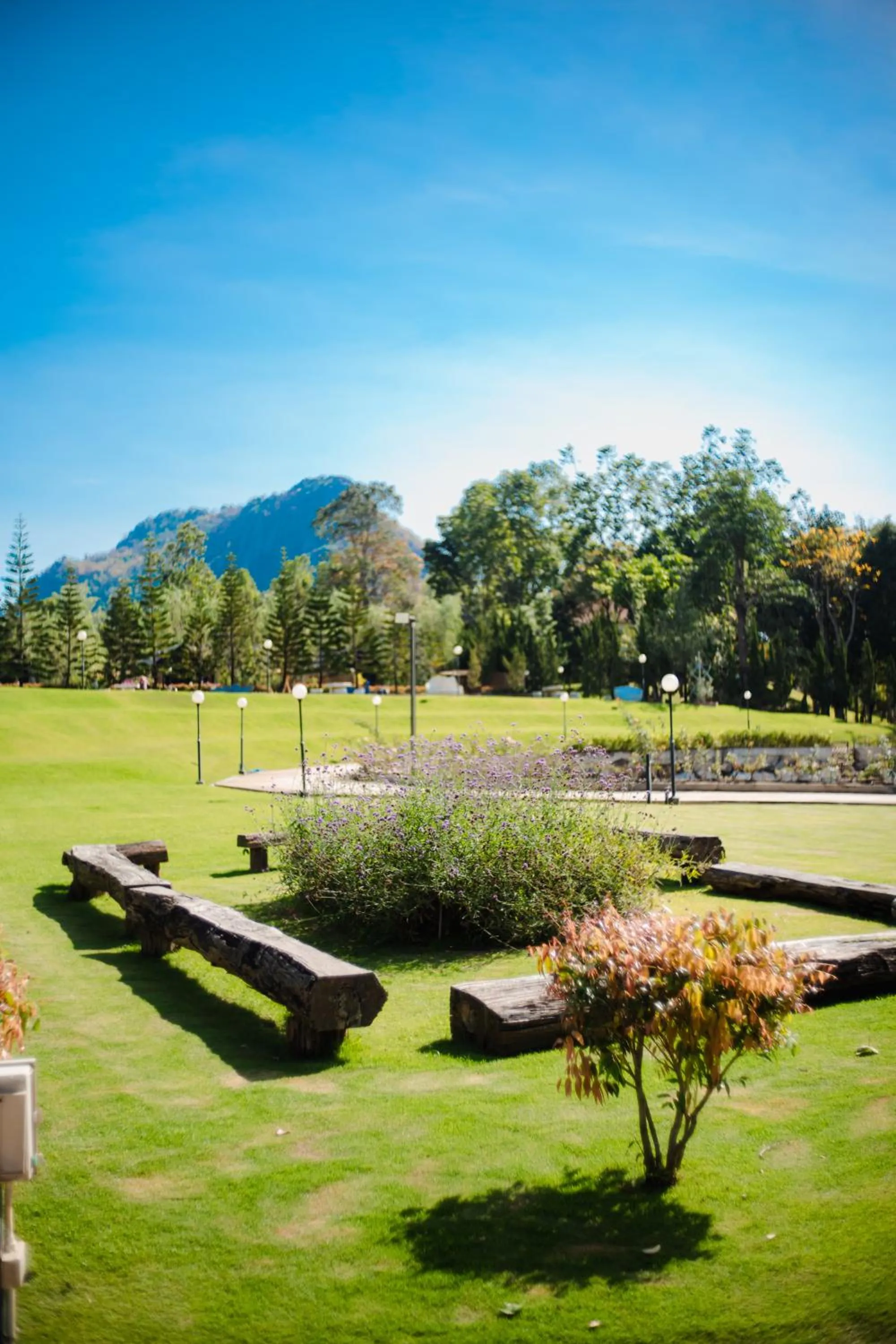 Area and facilities in Thara Dara Khaoyai