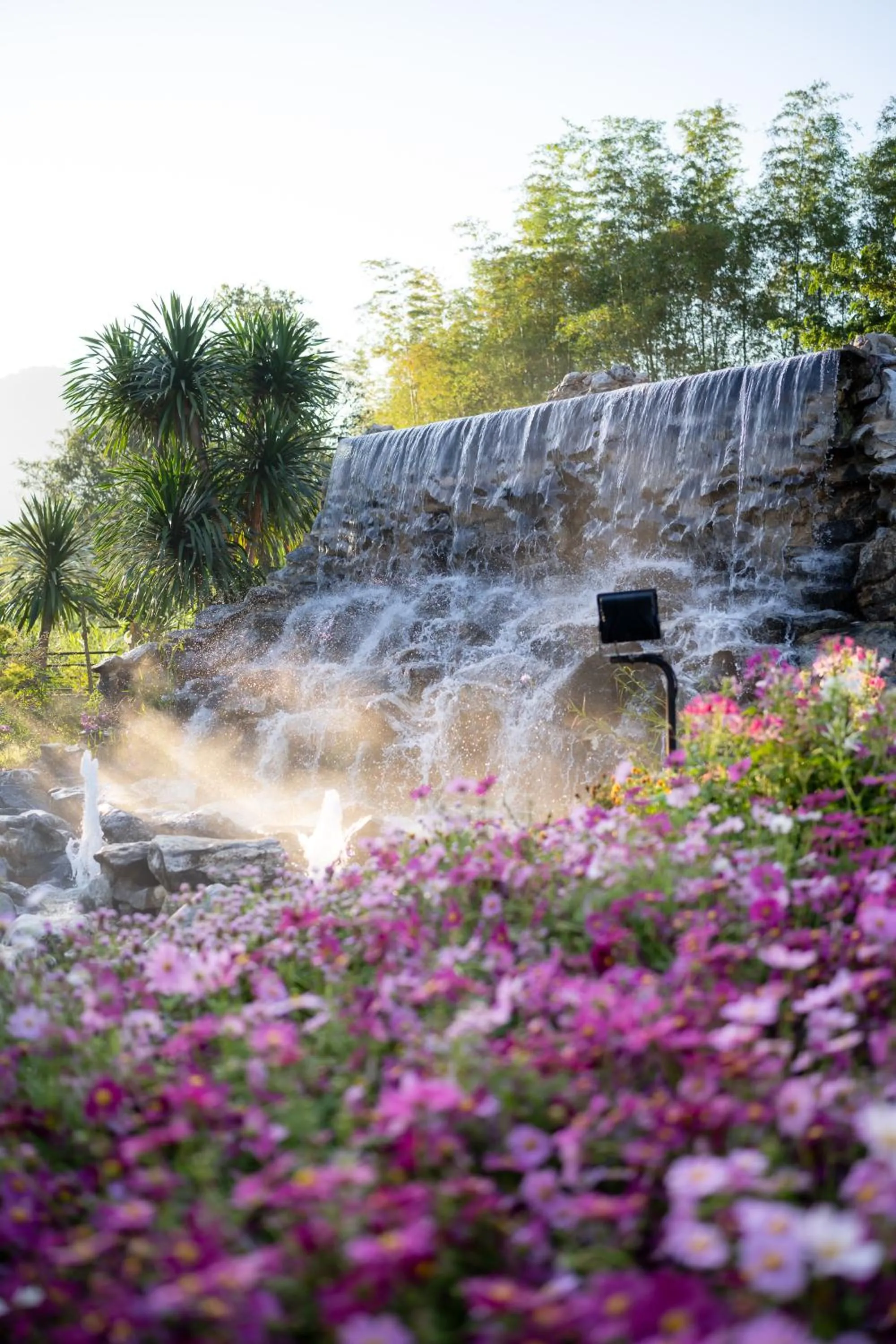 Garden in Thara Dara Khaoyai