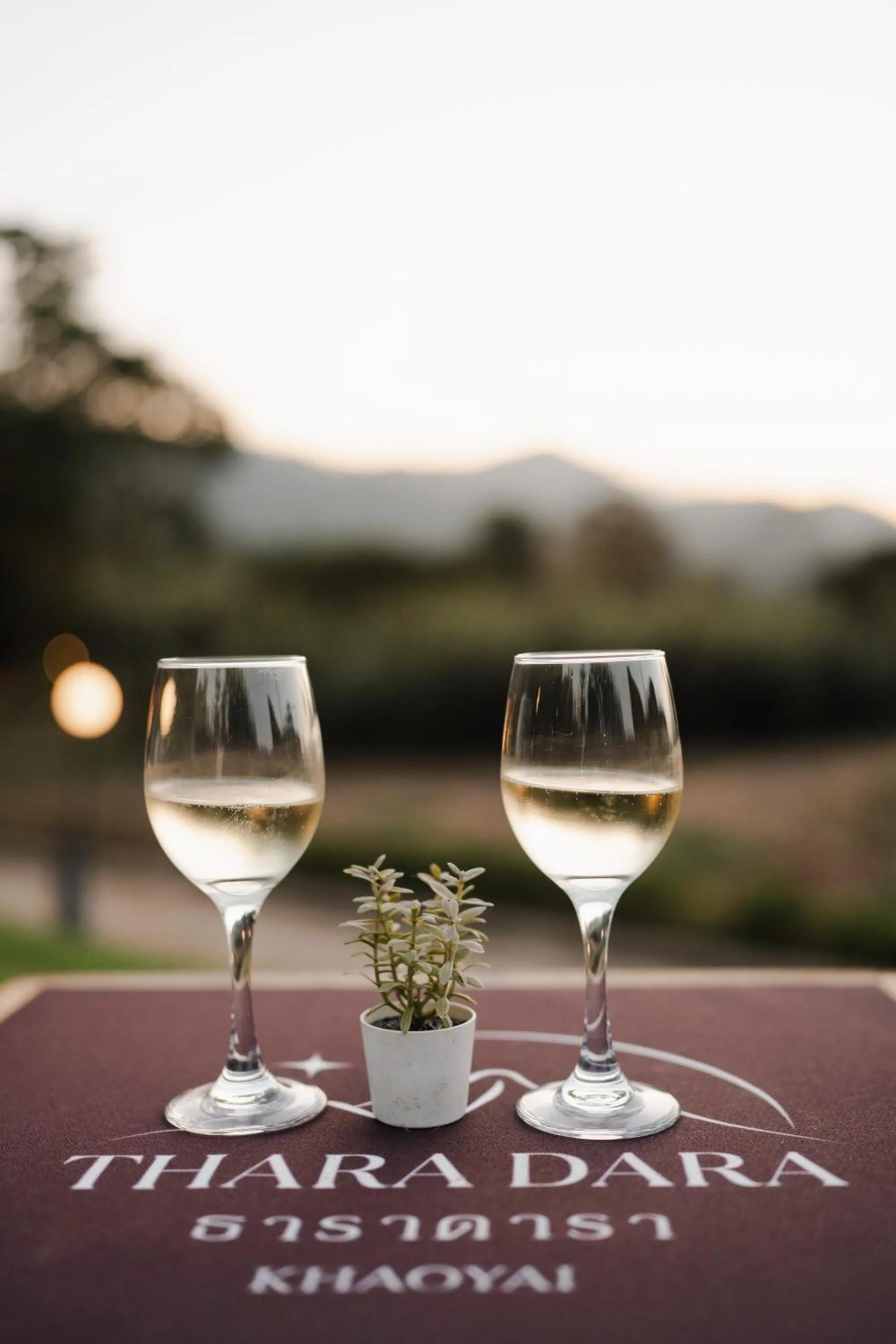 Drinks in Thara Dara Khaoyai