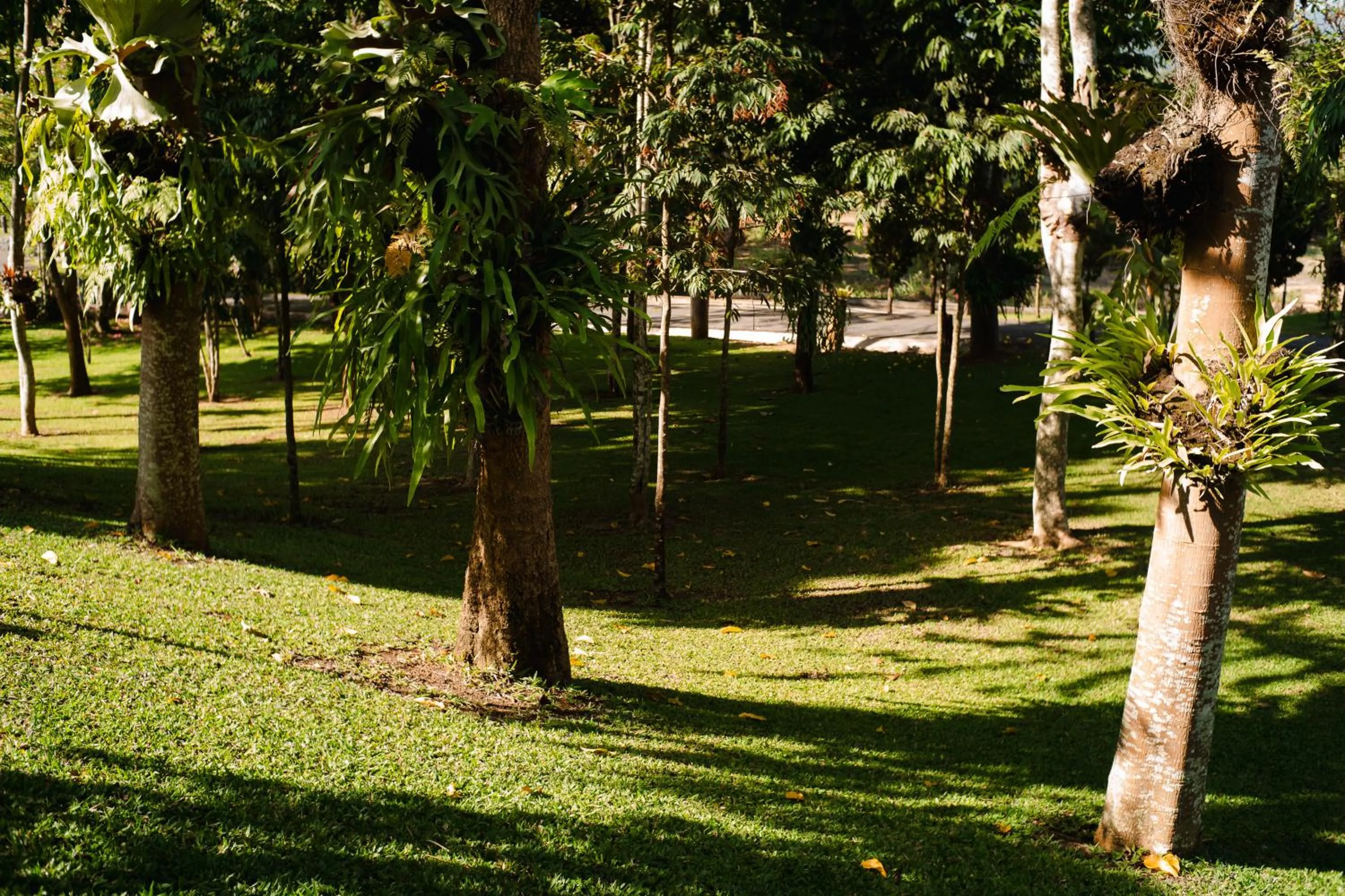 Area and facilities in Thara Dara Khaoyai