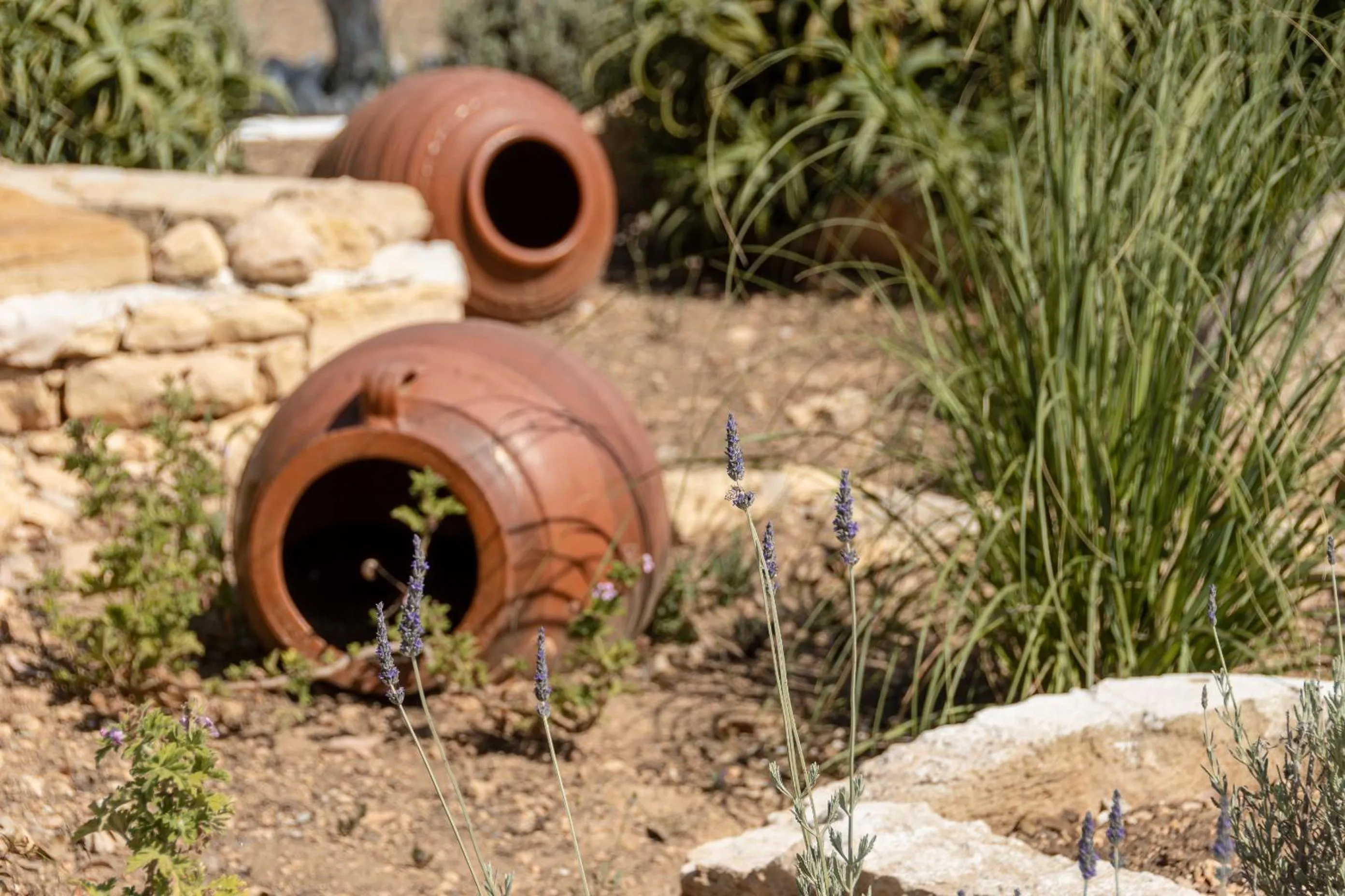 Property building in Michalios Luxury Apartments