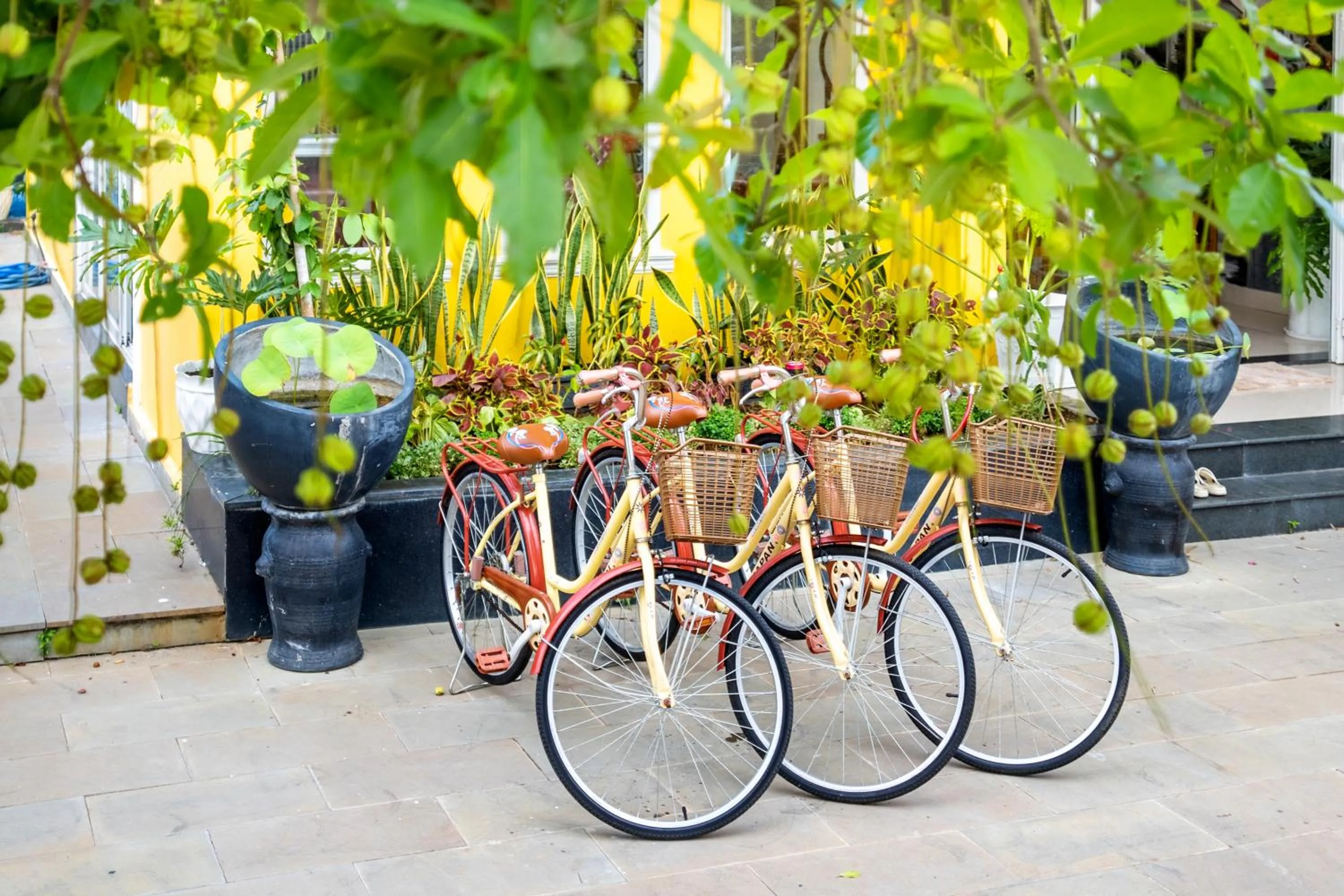 Garden in Sam Retreat Hoi An Villa - Peaceful Rice-Field Retreat, 10 Minutes to Hoi An Old Town