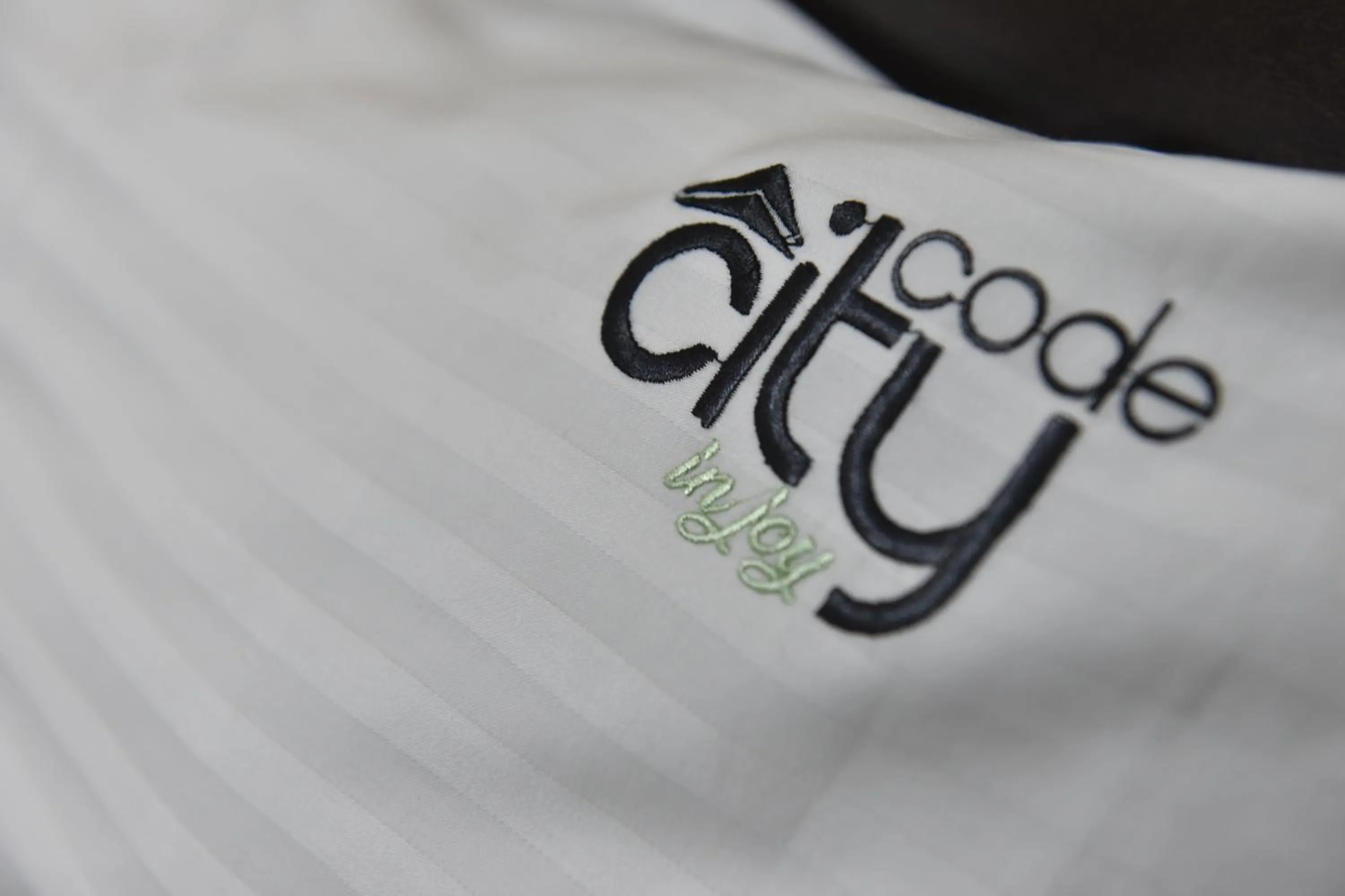 Property logo or sign in City Code In Joy