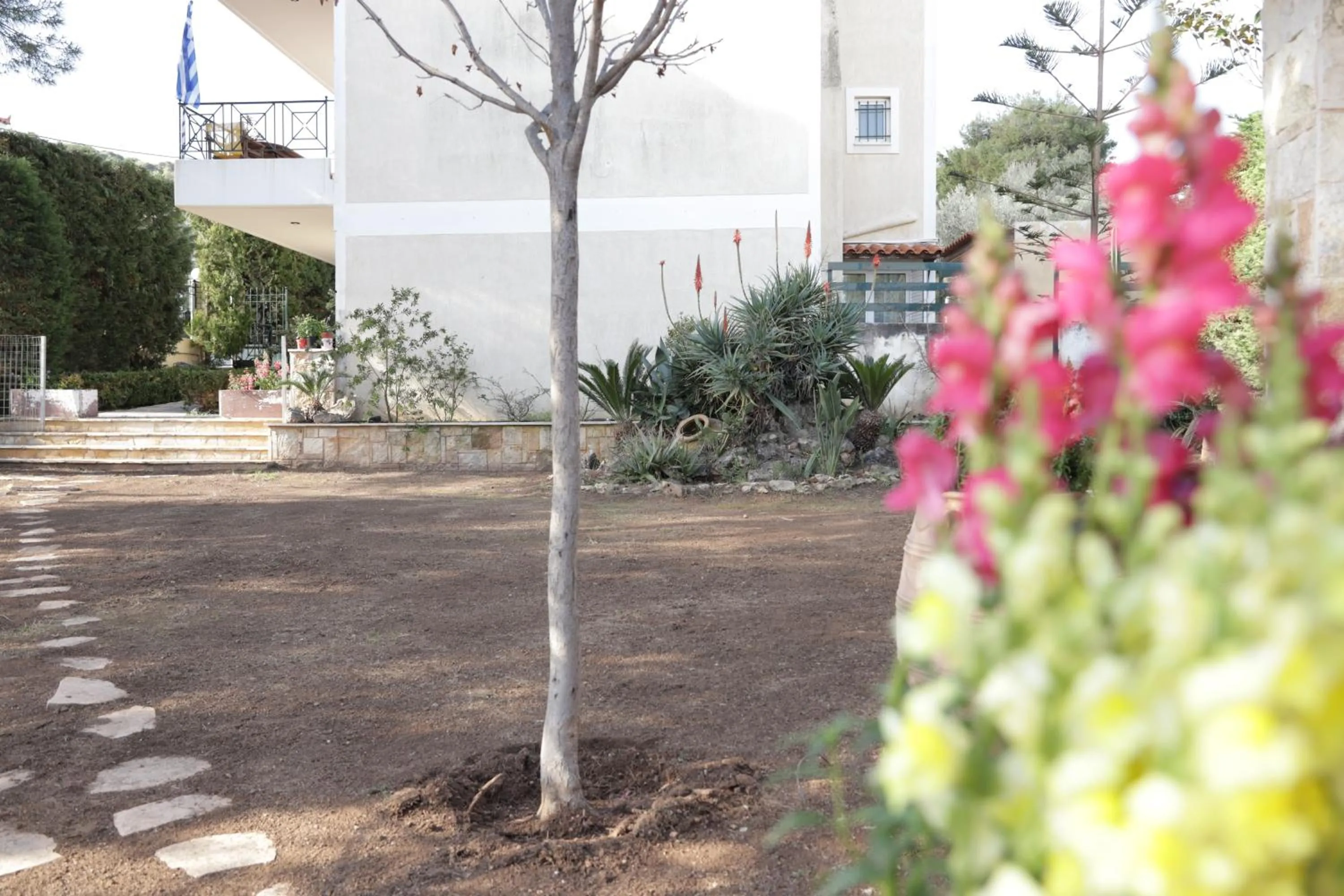 Garden in Perfect home for Relaxing