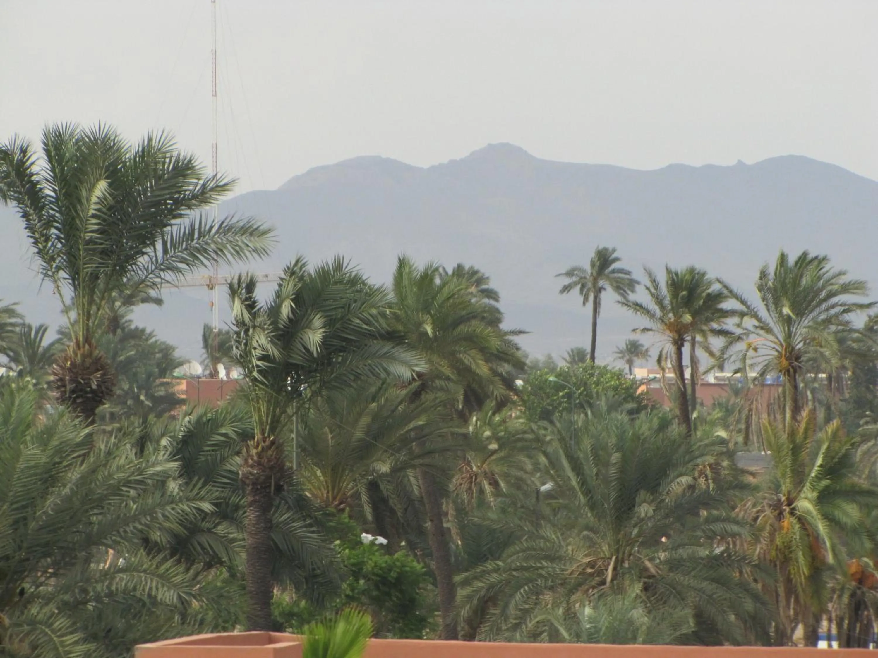 View (from property/room) in Riad Losra