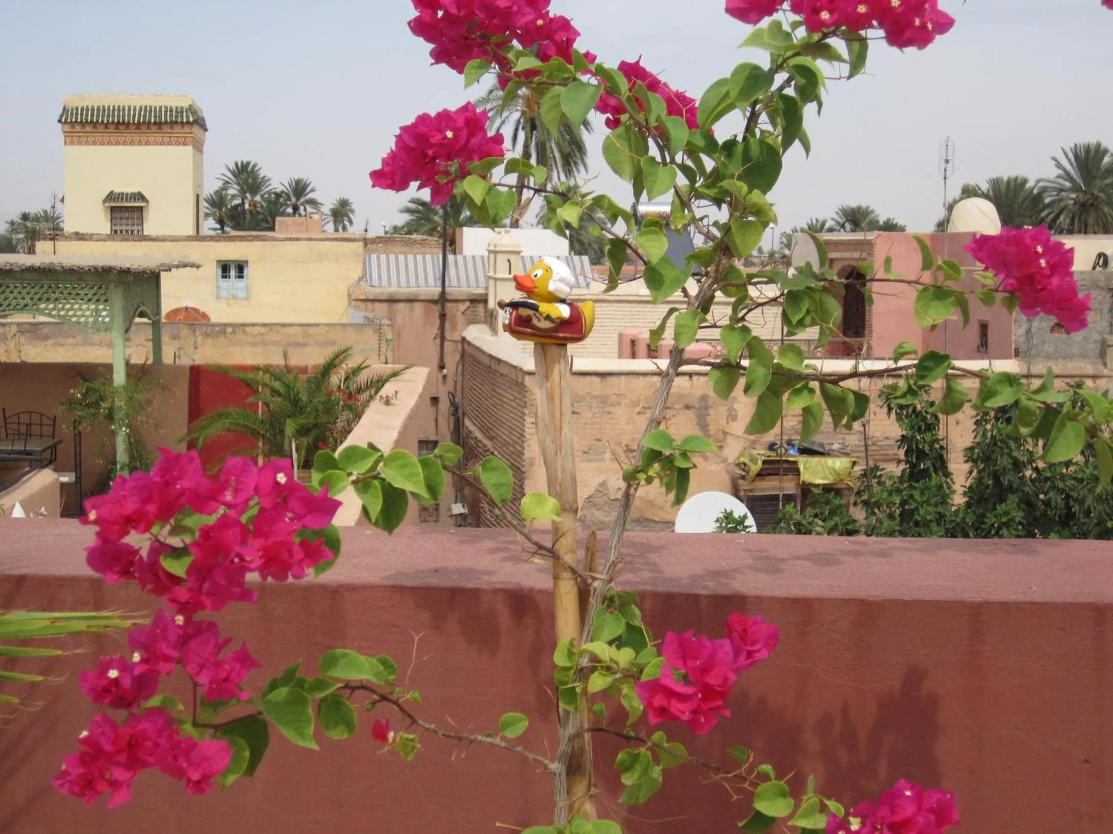 Balcony/Terrace in Riad Losra