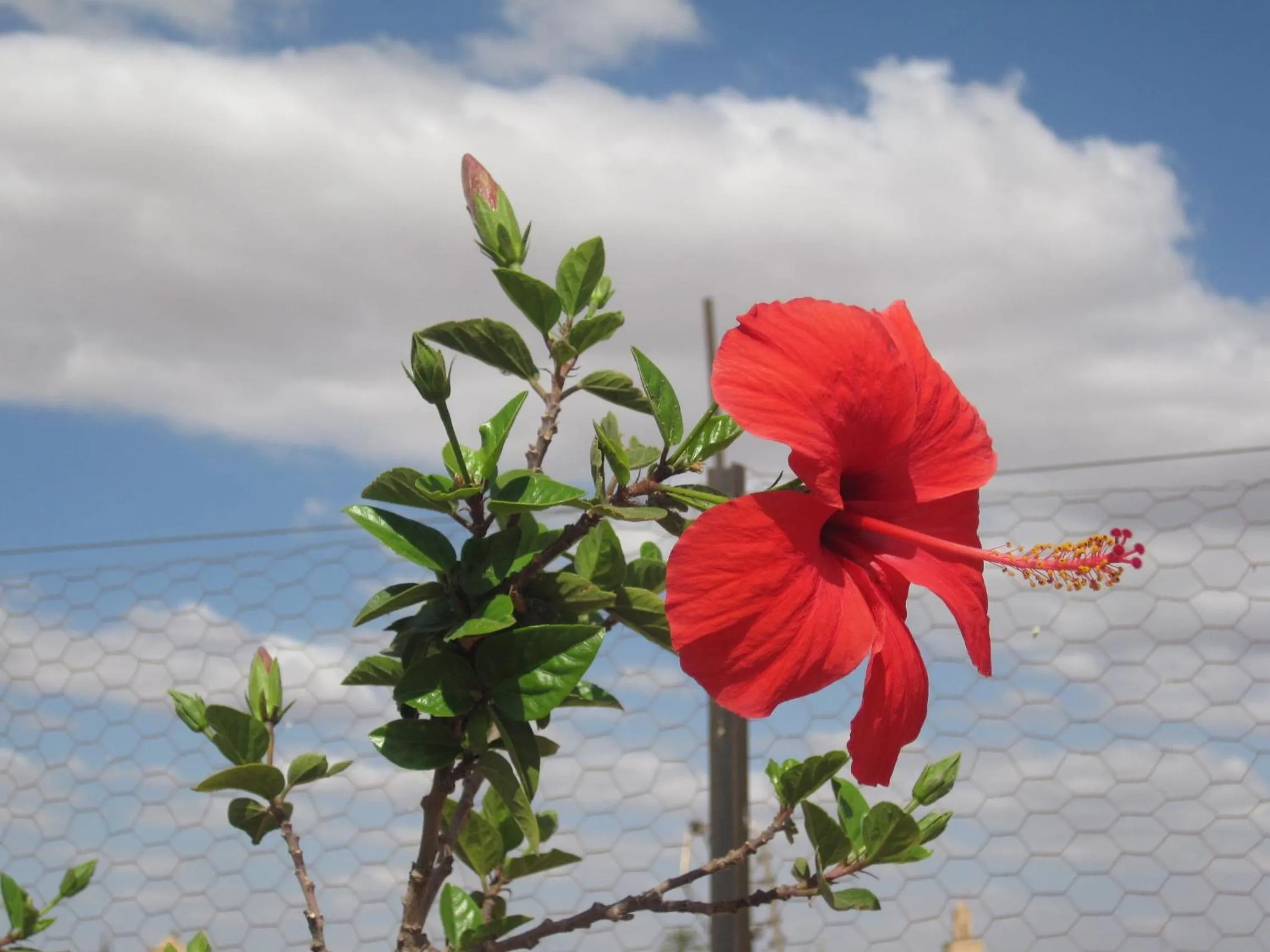 Decorative detail in Riad Losra
