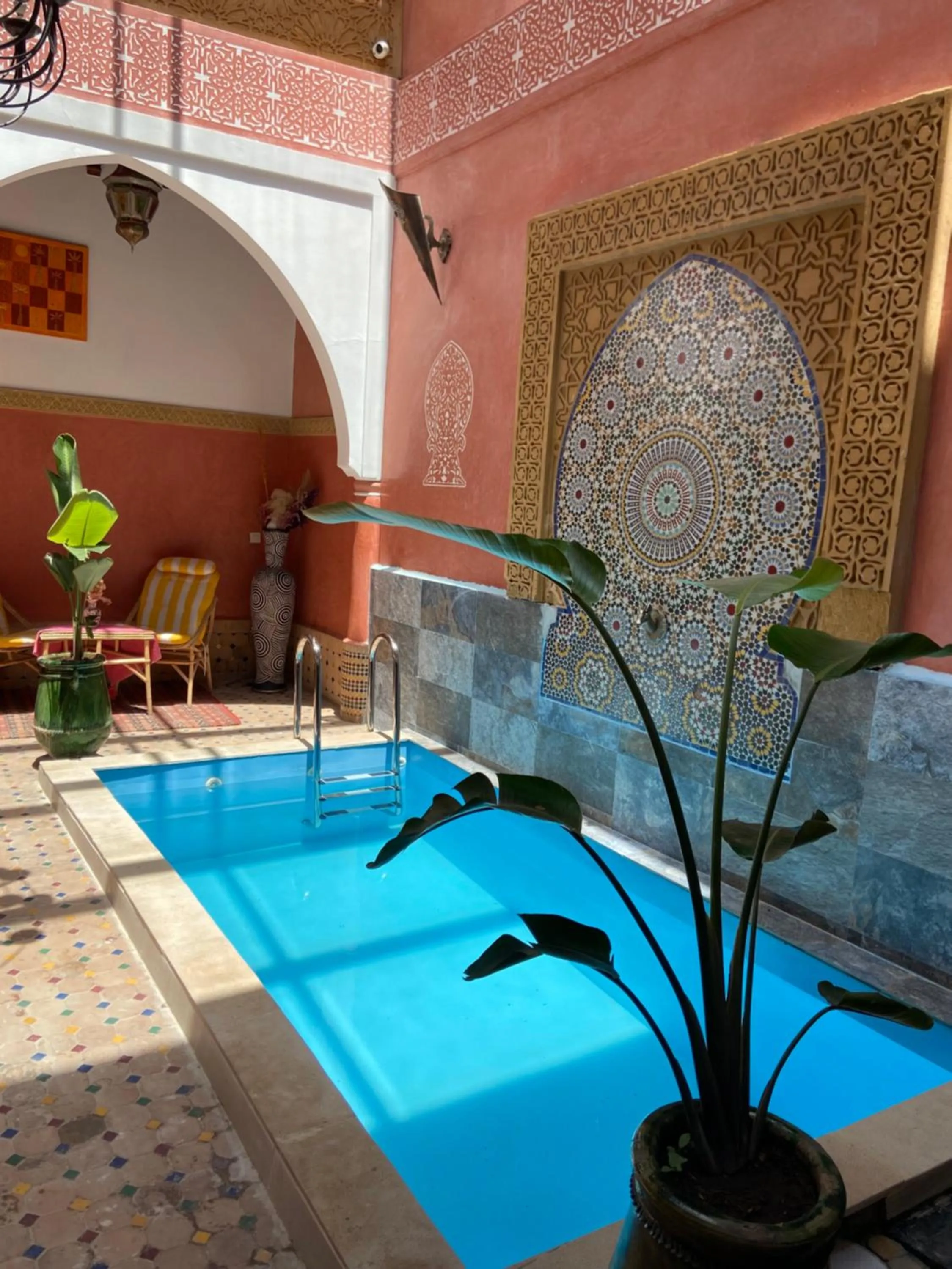 Swimming pool in Riad Losra