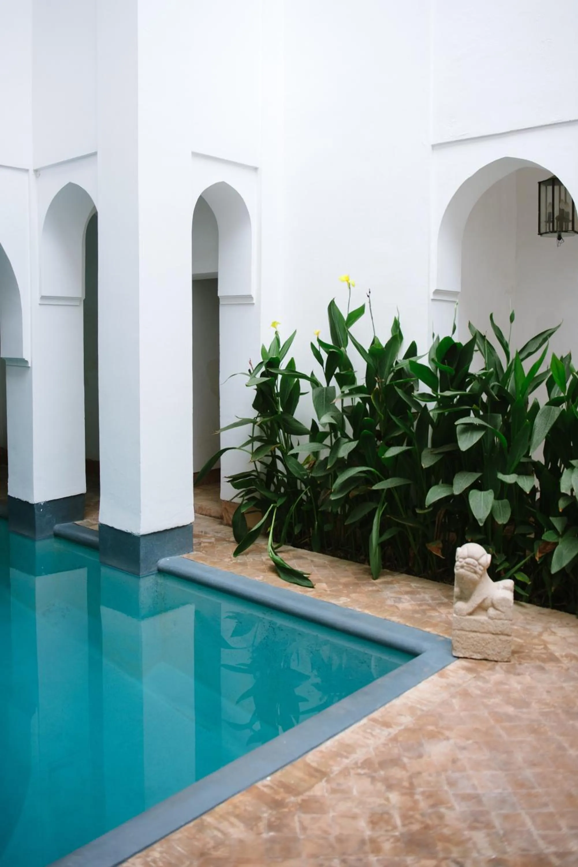 Swimming pool in Riyad El Cadi