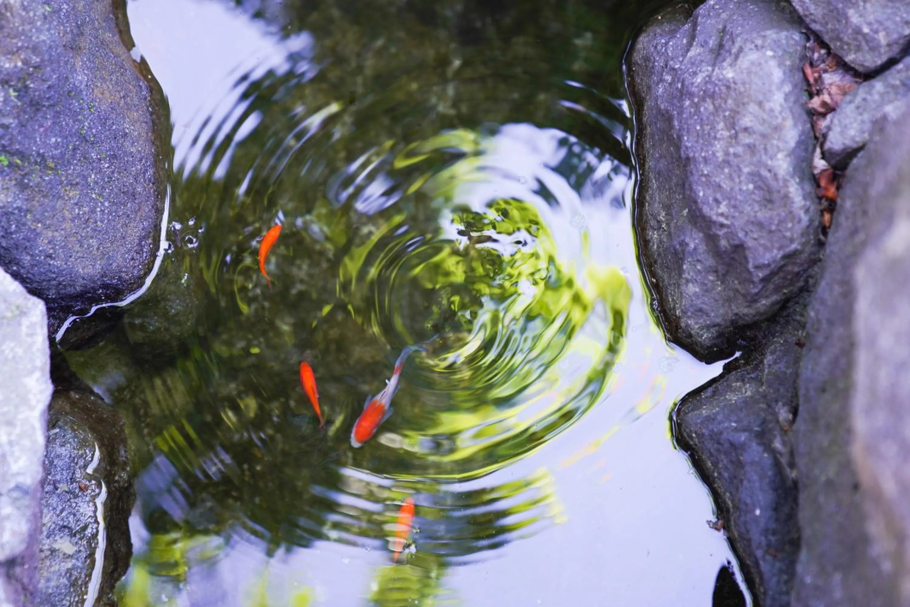 Natural landscape in Jozankei Onsen Yurakusoan