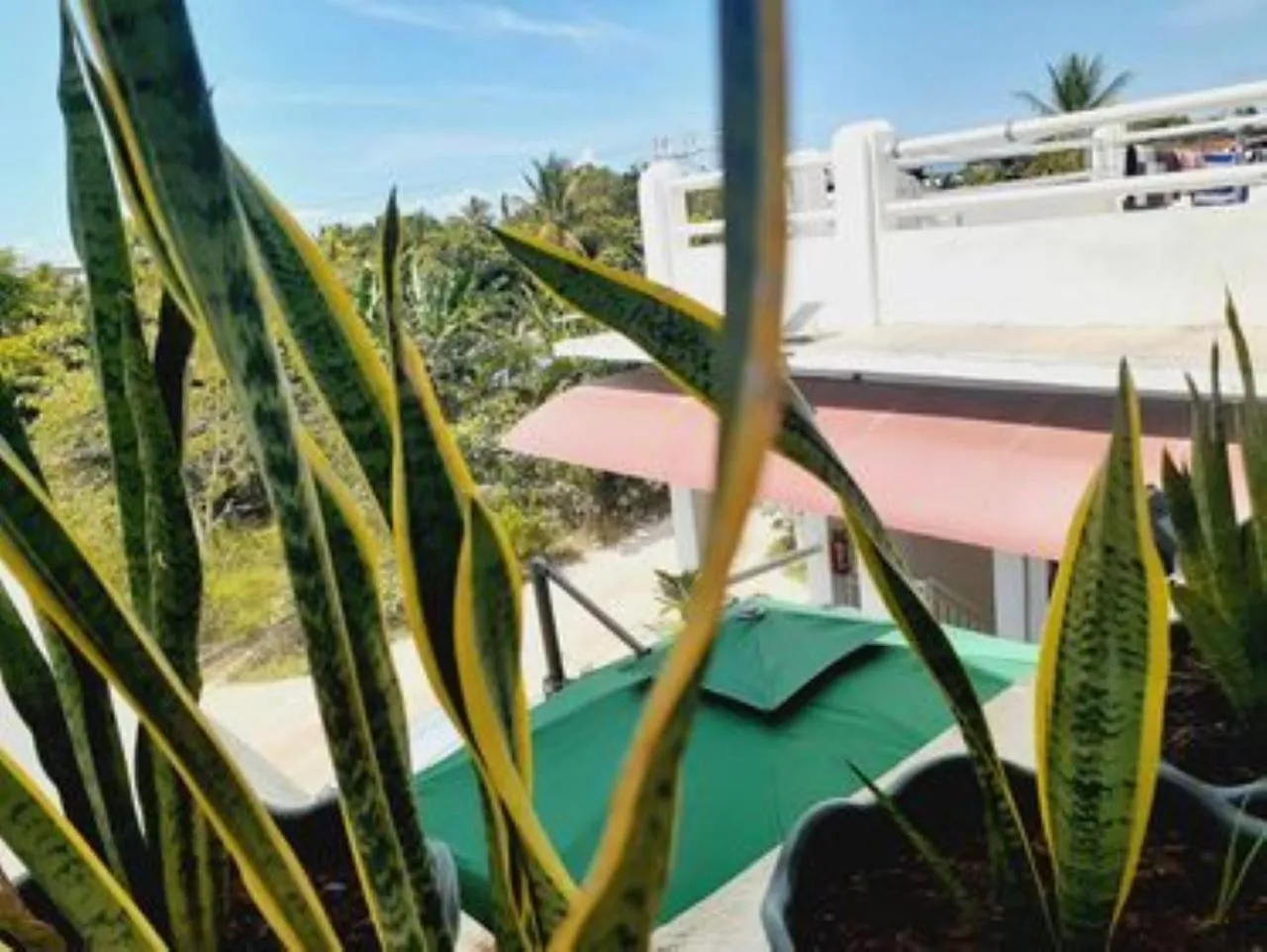 Day in Alona Rose Hotel by SMS Hospitality