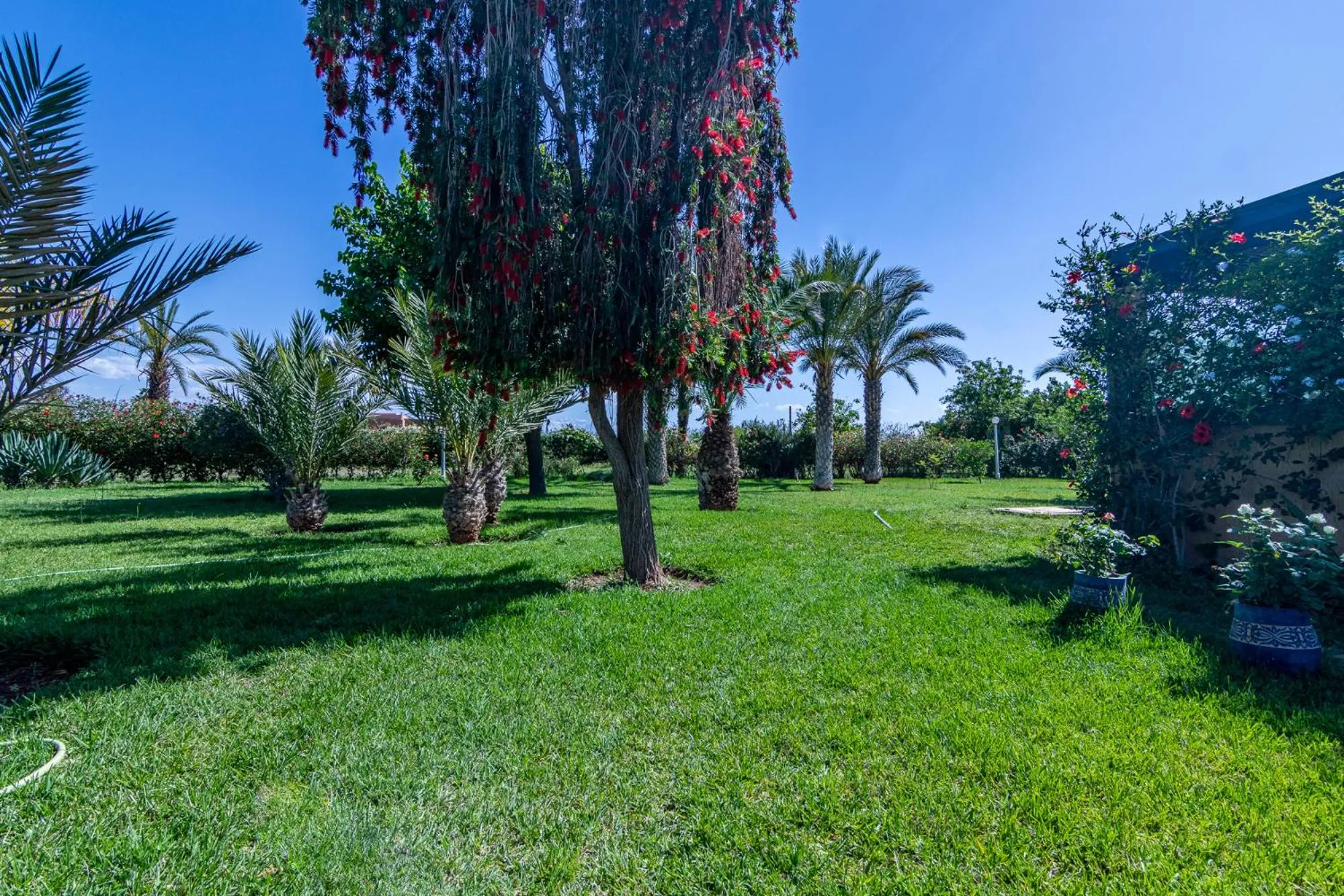 Garden in Palais les sources de l'atlas & spa