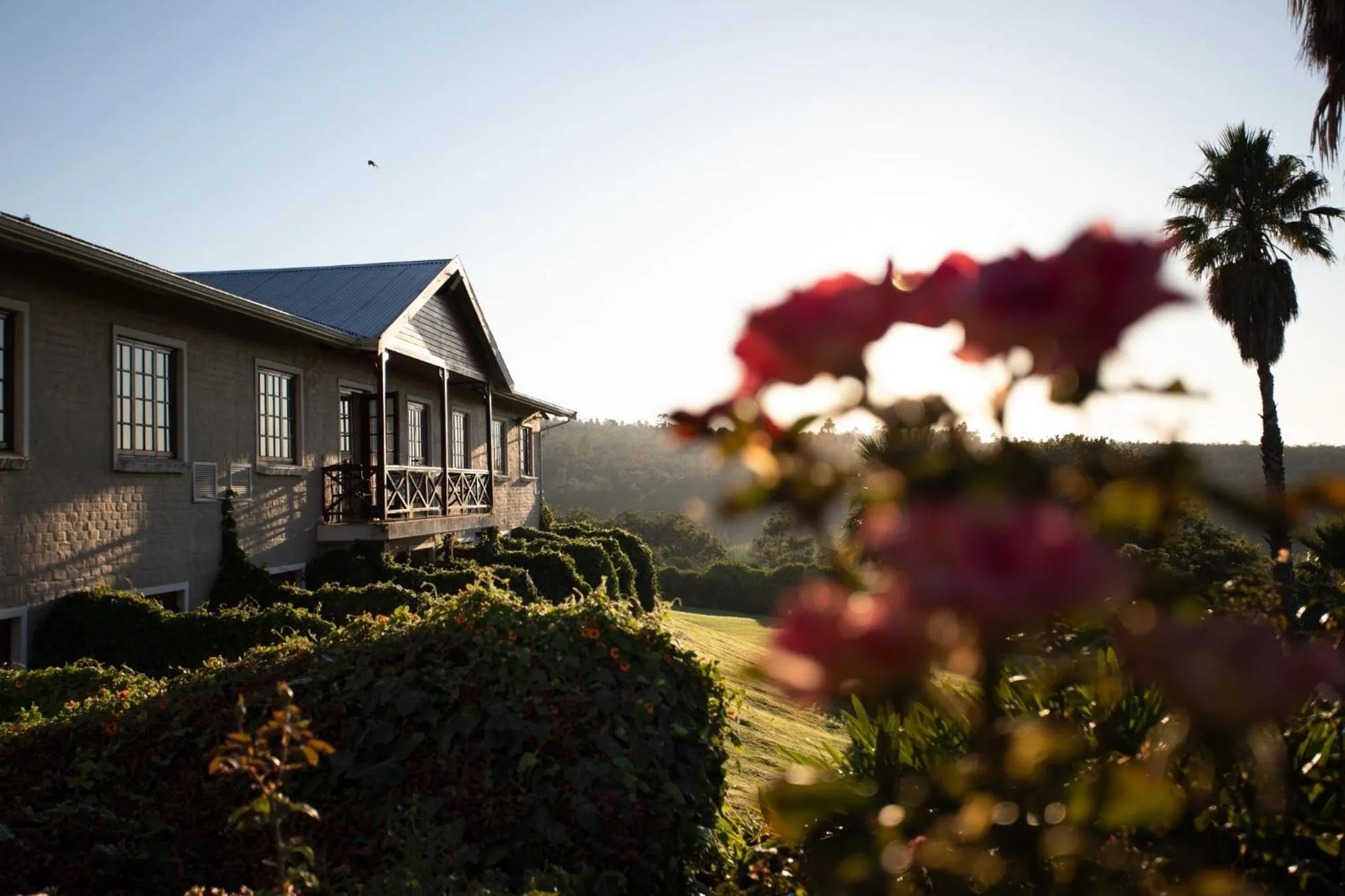 Garden view in The Caledon Hotel and Spa