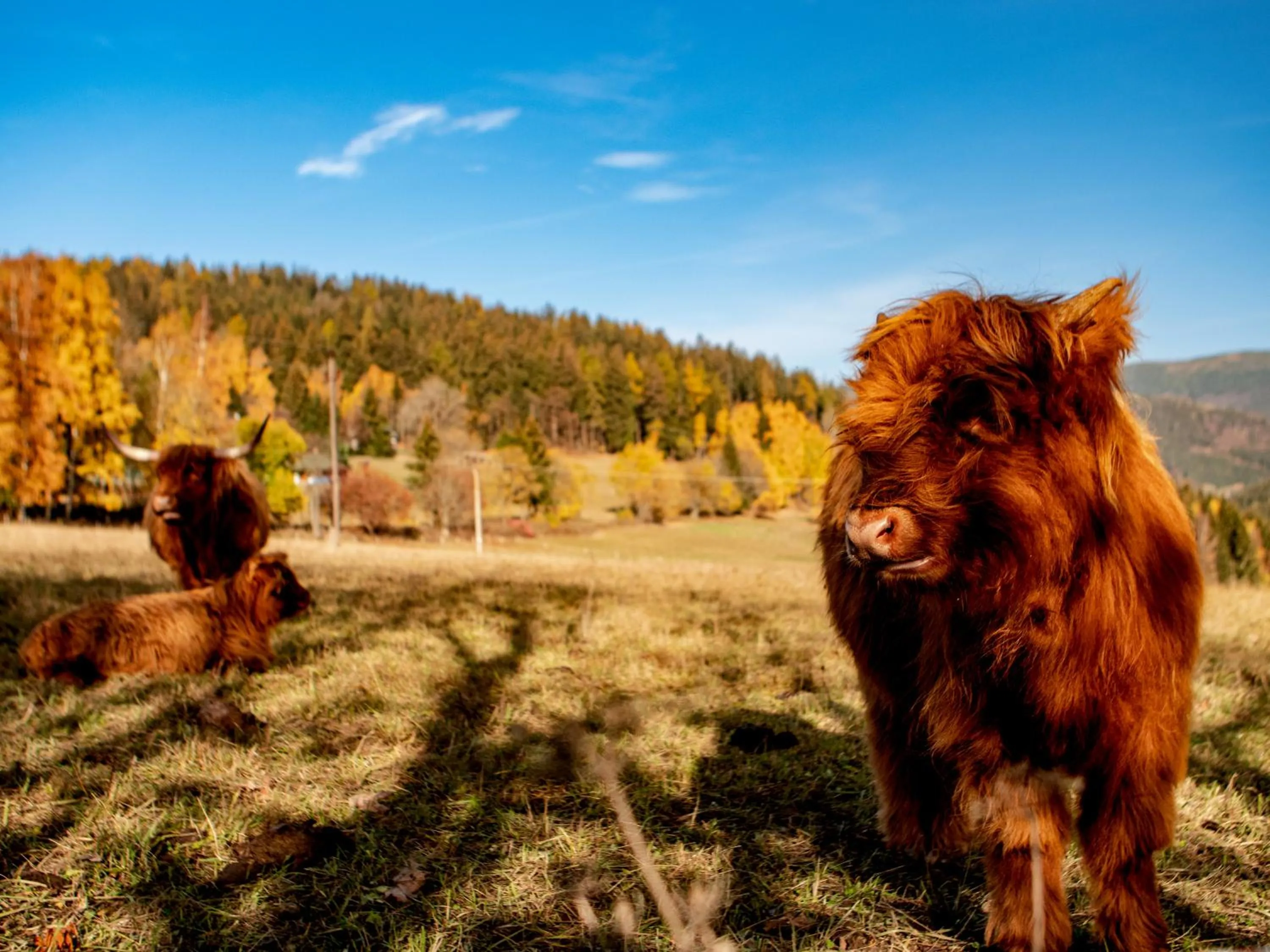 Off site in Aldrov Resort