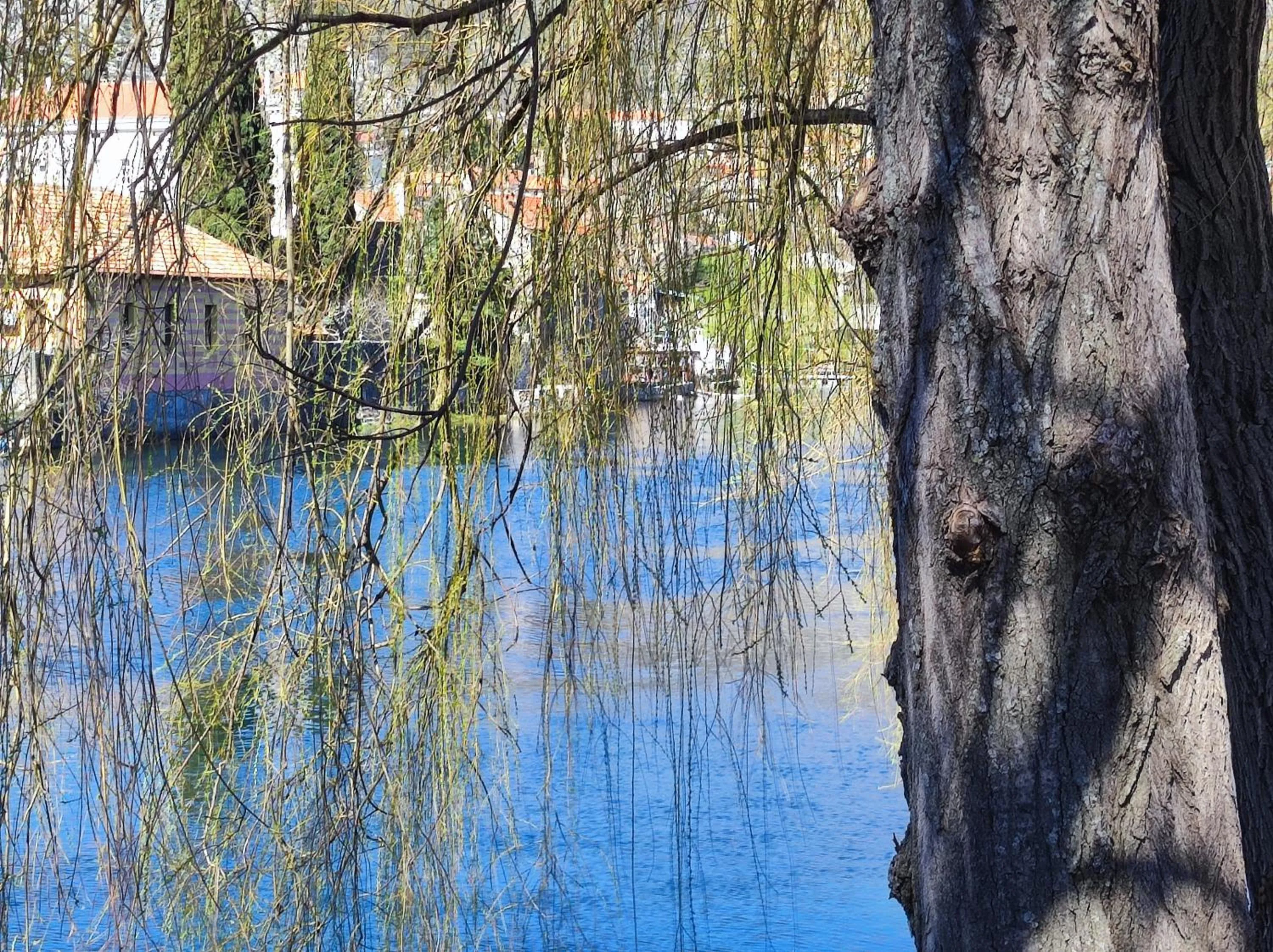 Spring in Hotel Leotar