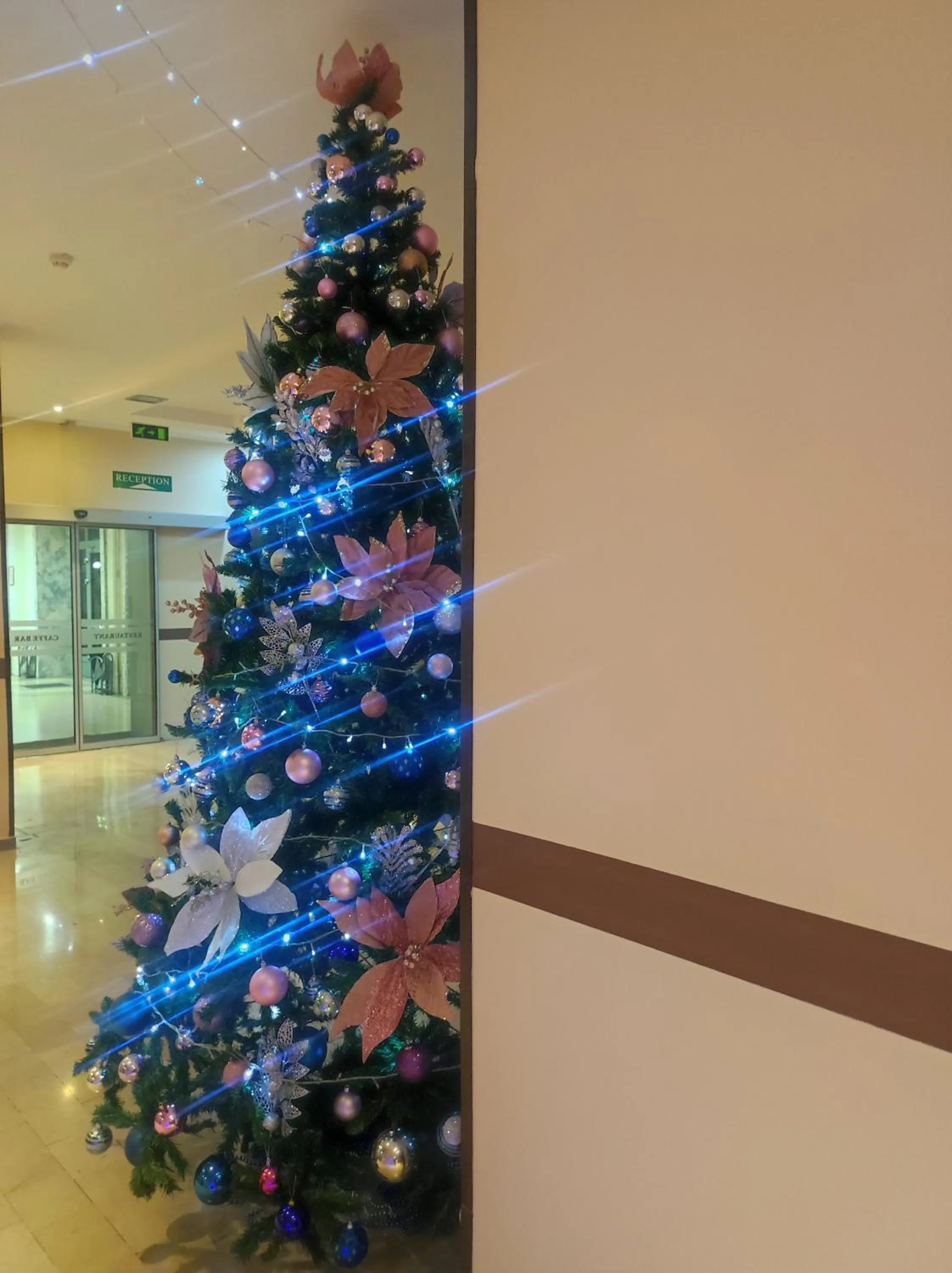 Property building in Hotel Leotar