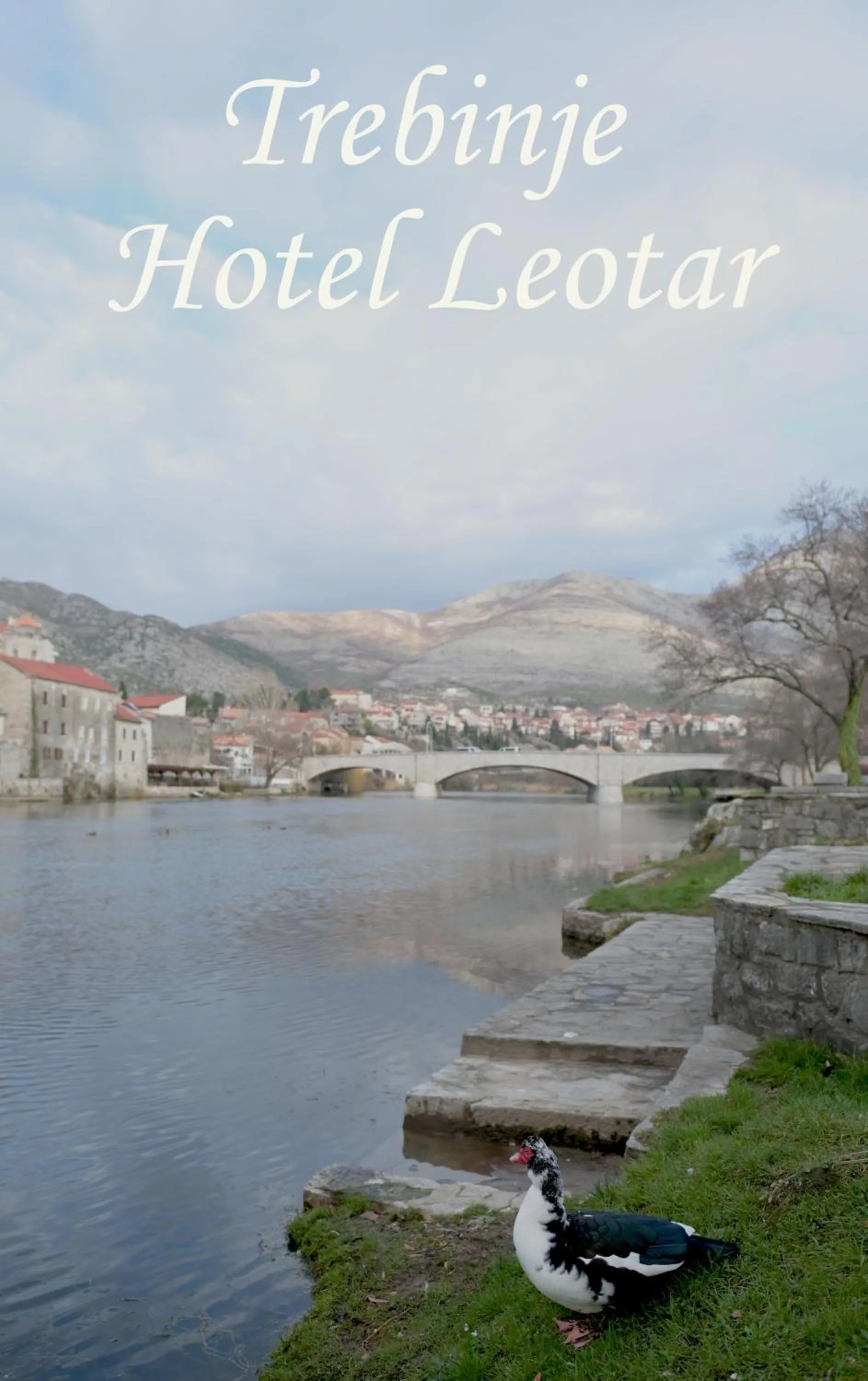 View (from property/room) in Hotel Leotar