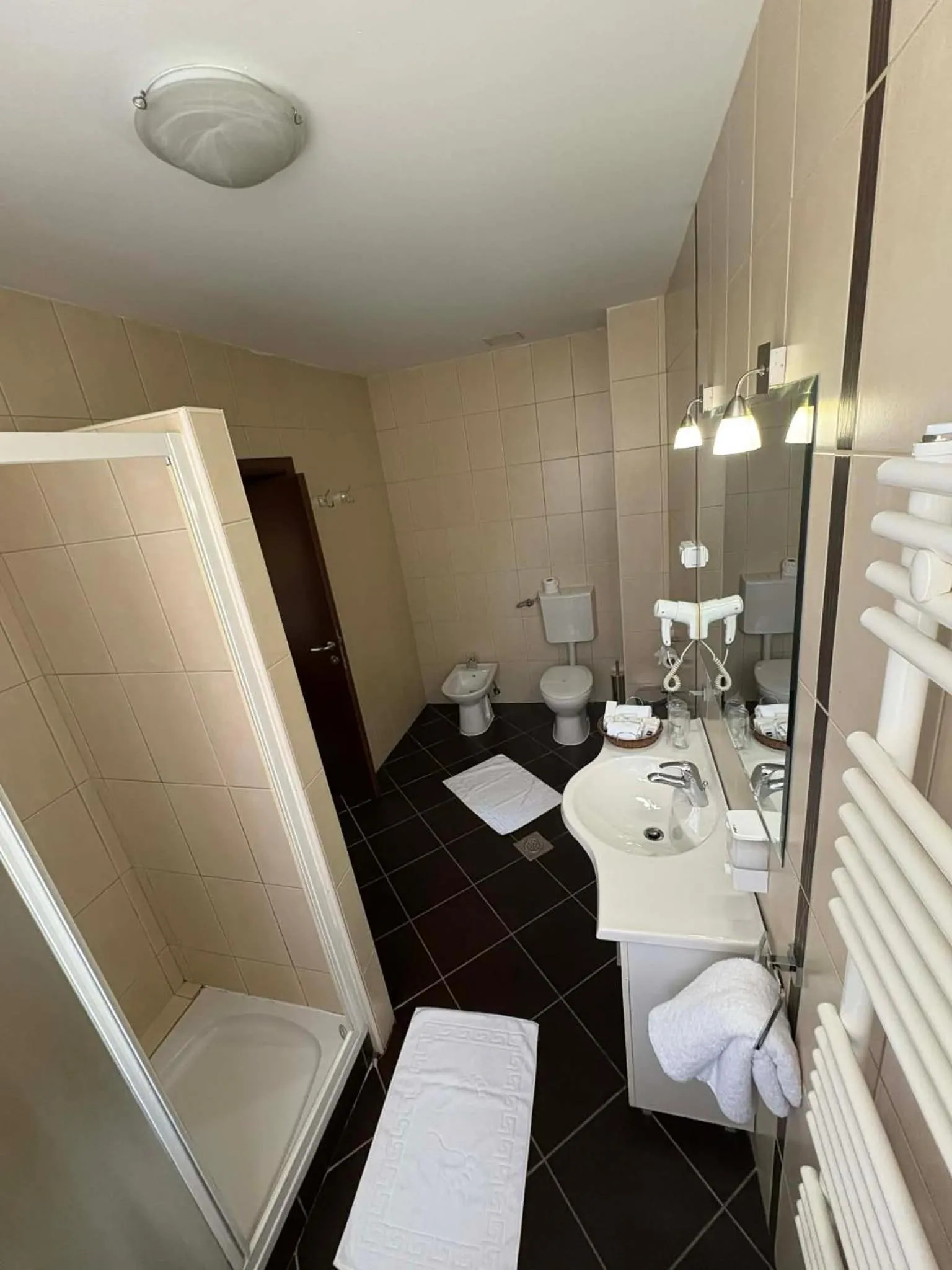 Toilet in Hotel Leotar