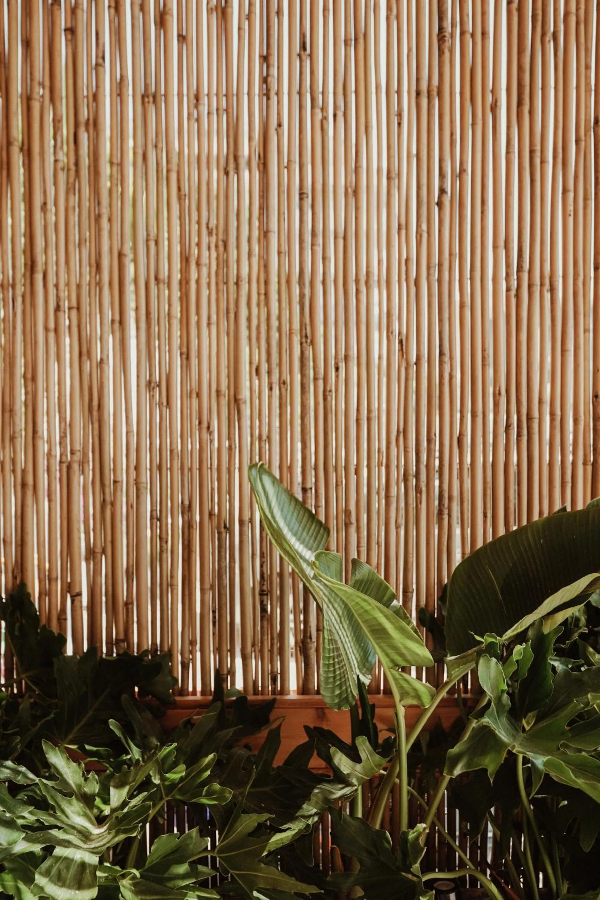 Natural landscape in Lost Seaside Hotel