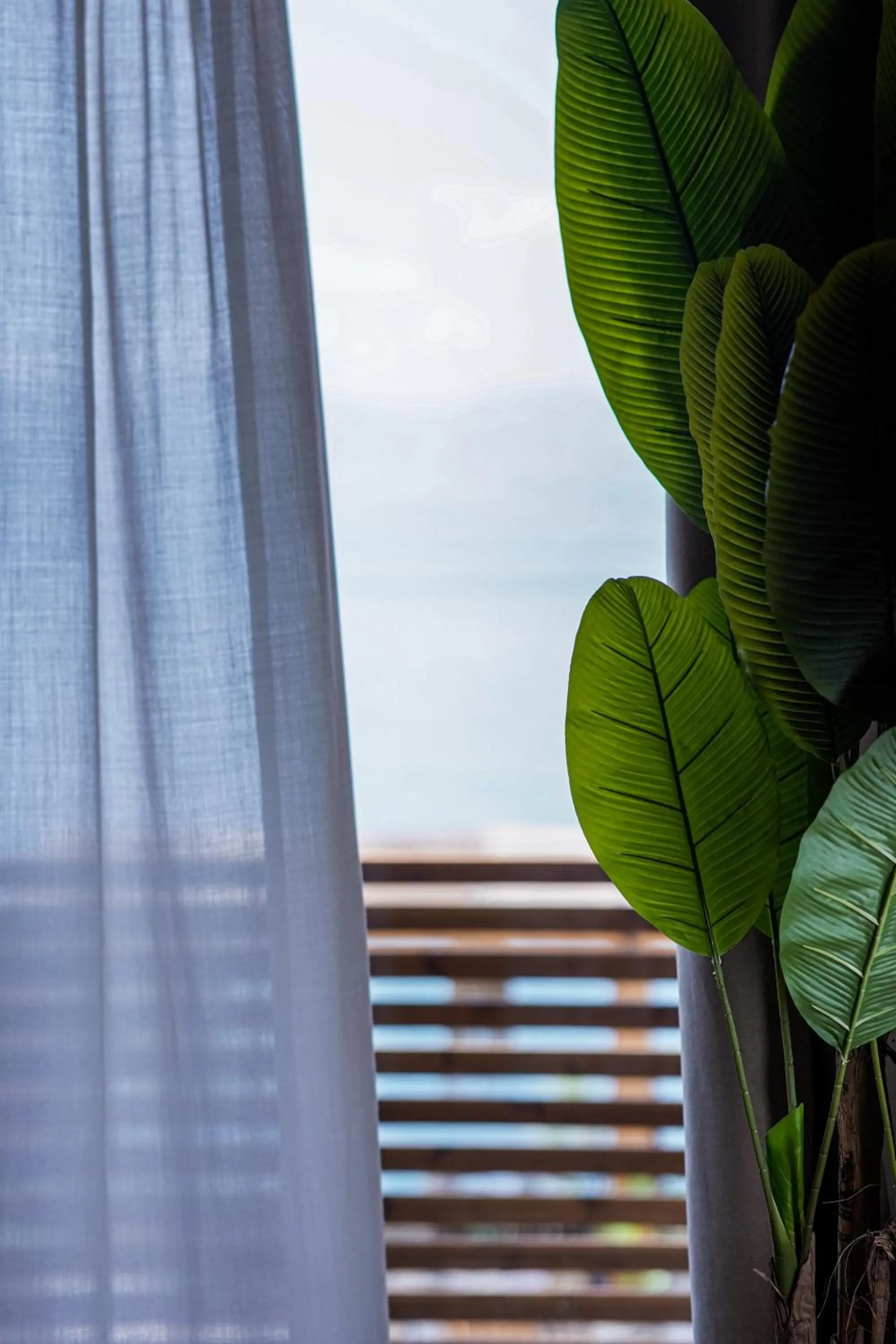 Natural landscape in Lost Seaside Hotel
