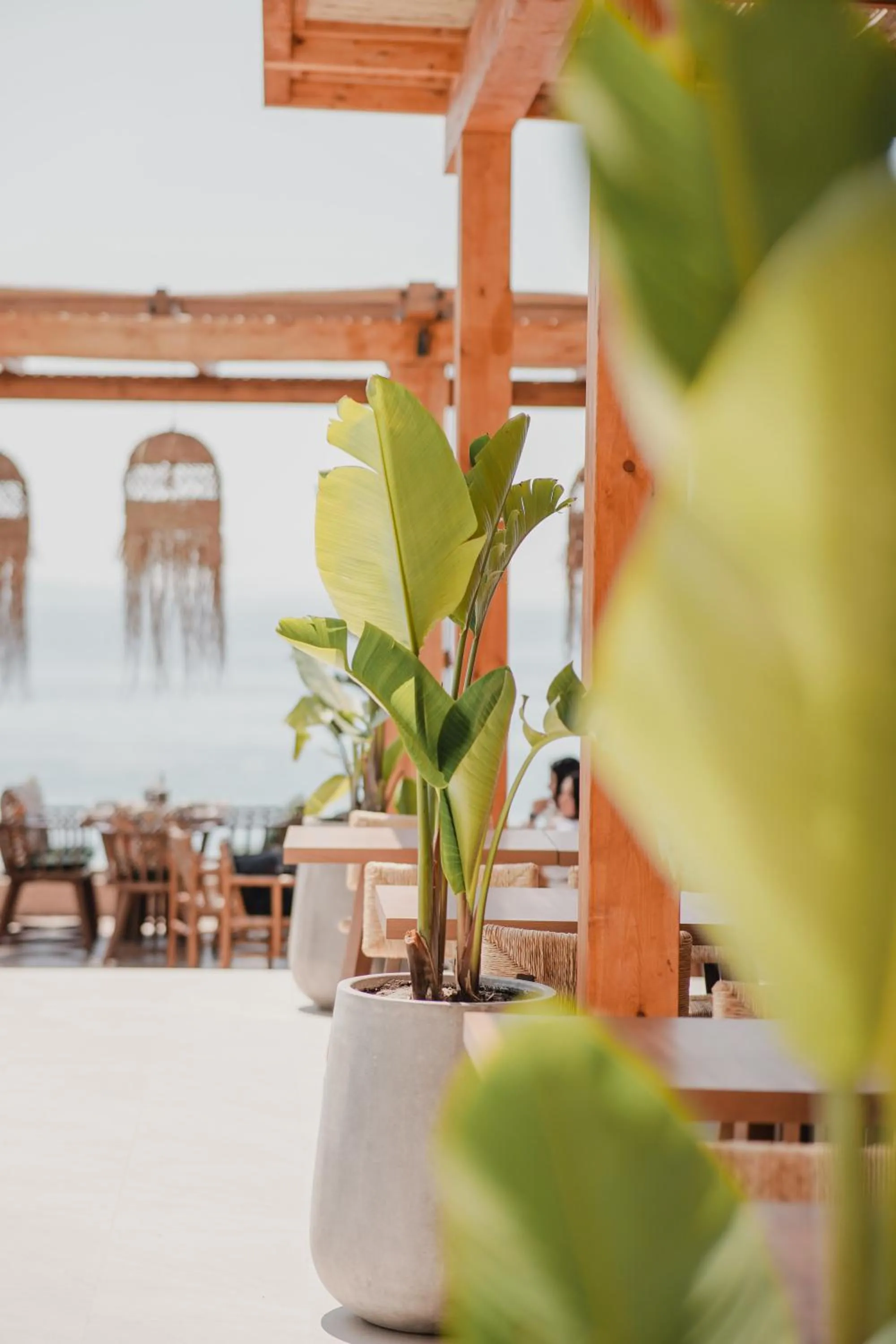 Restaurant/places to eat in Lost Seaside Hotel