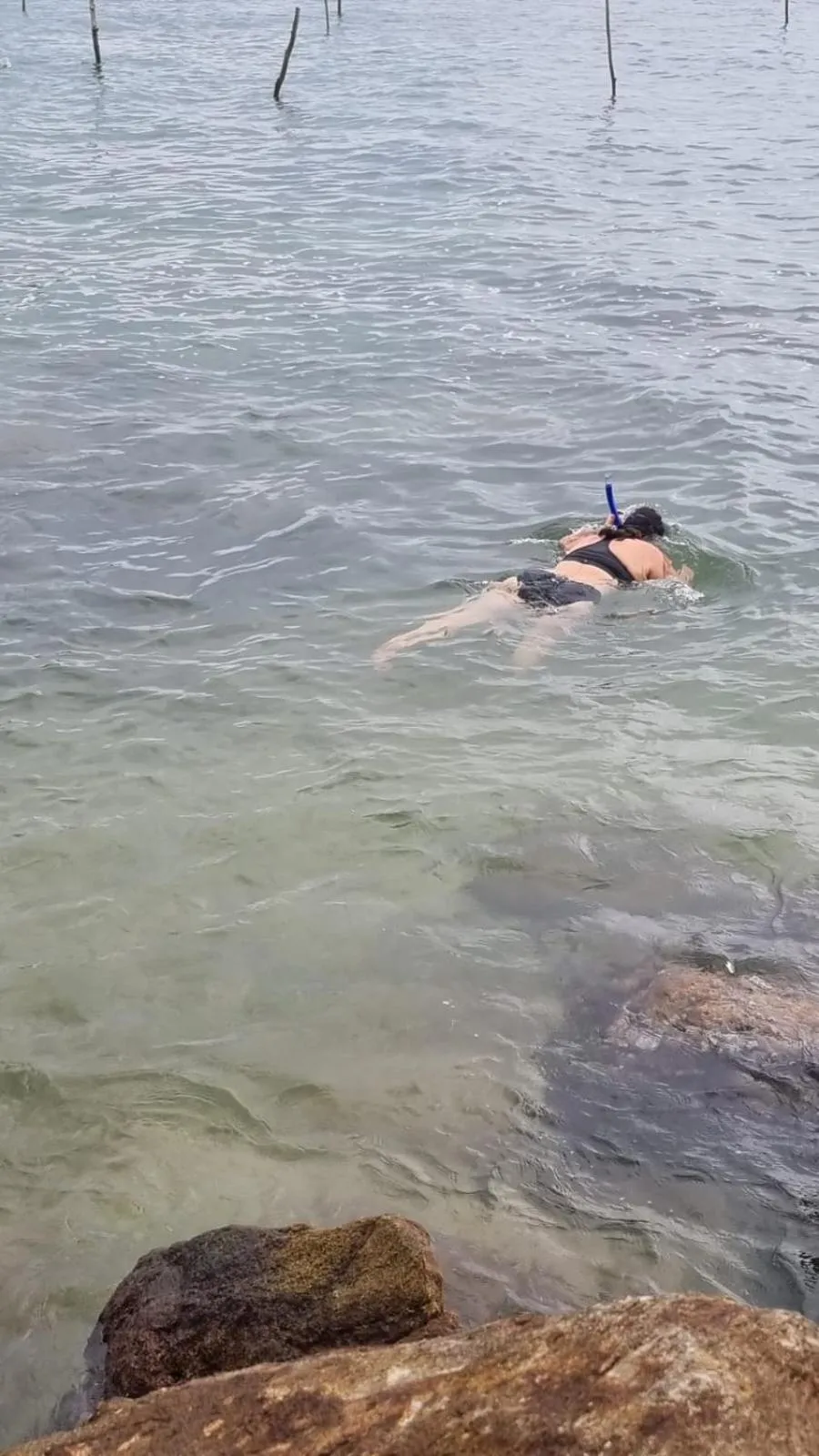 Snorkeling in Kenno's Korner