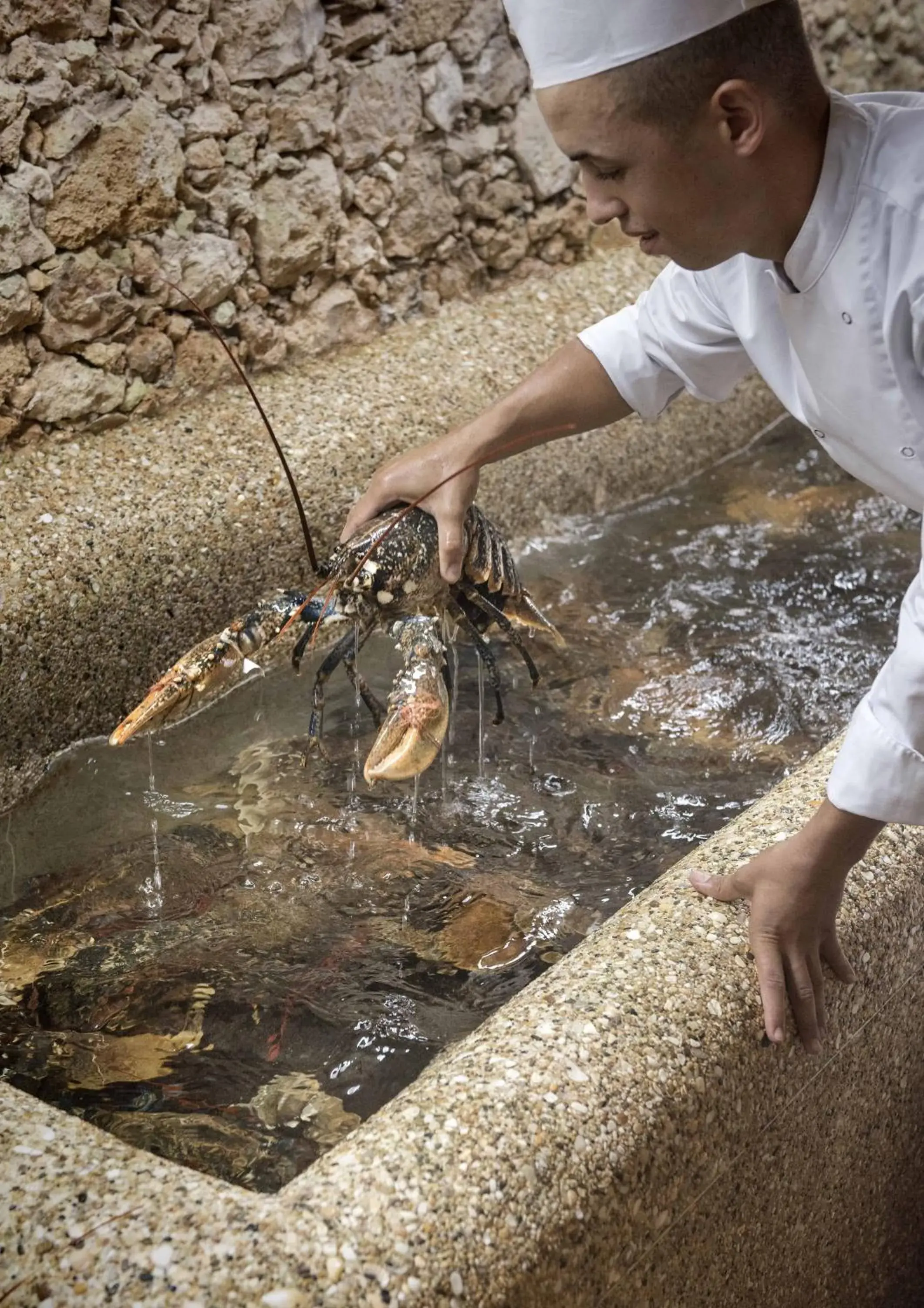 Food and drinks in La Sultana Oualidia Food and drinks in La Sultana Oualidia