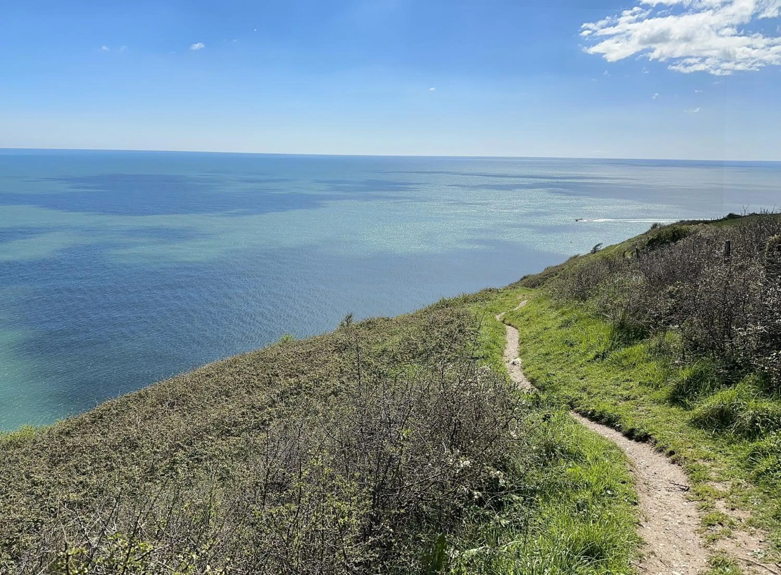 Sea view in Beautiful, spacious 3 bed Brixham apartment