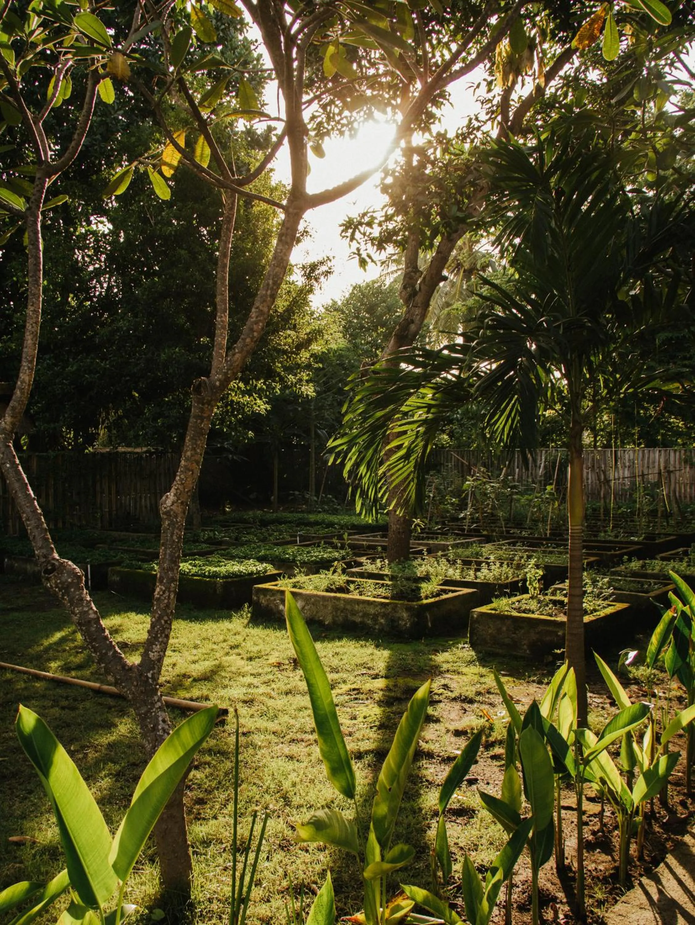 The Barefoot Blondie Village