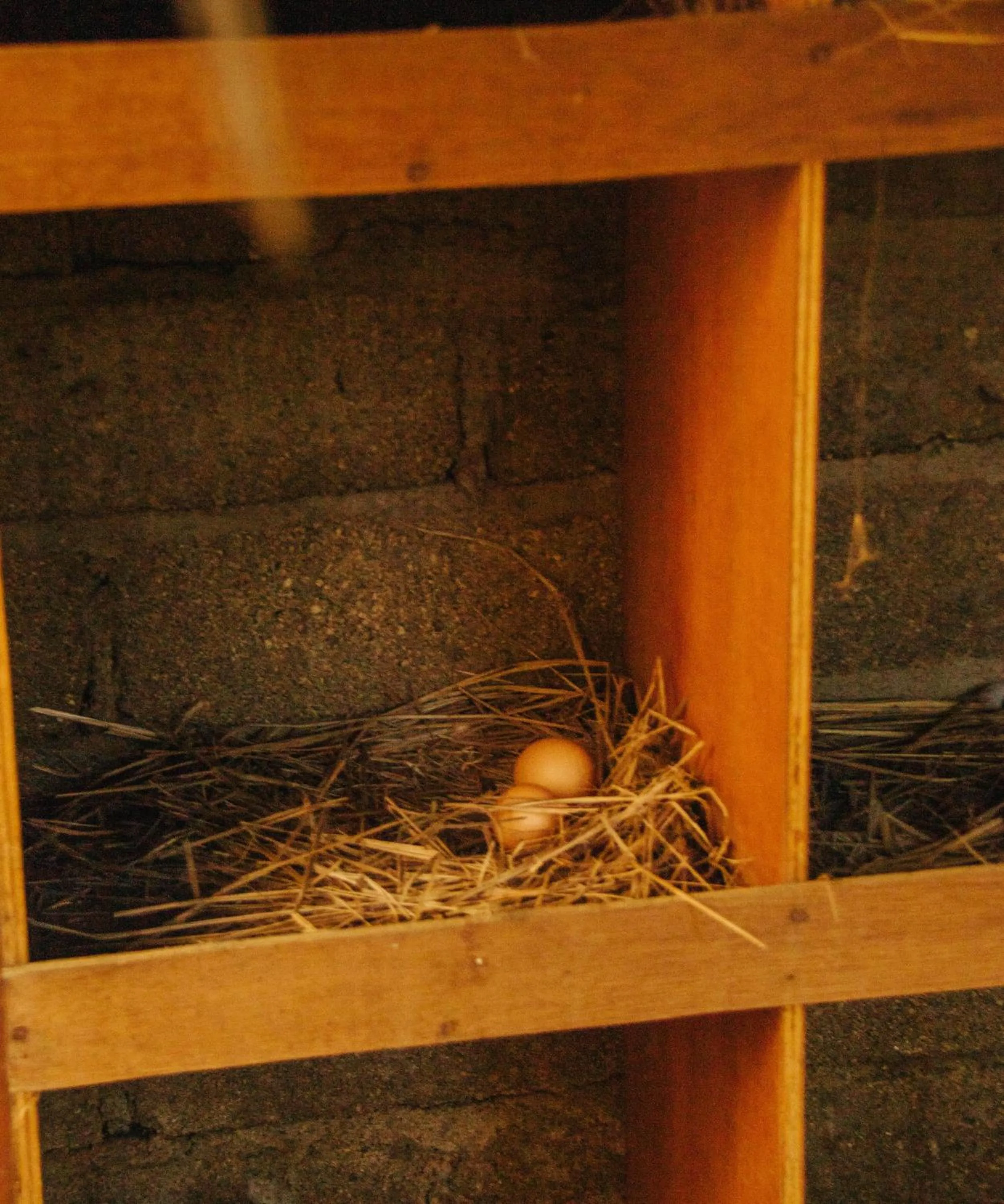 The Barefoot Blondie Village