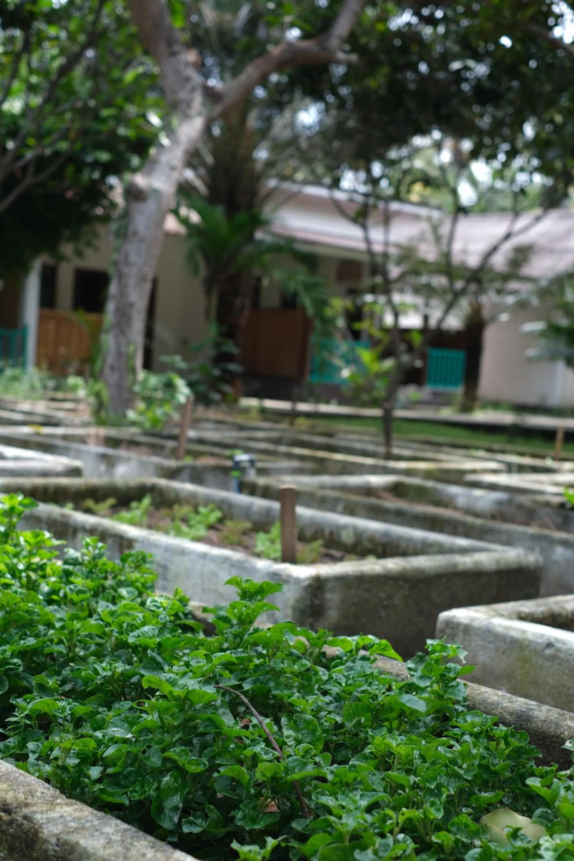 The Barefoot Blondie Village