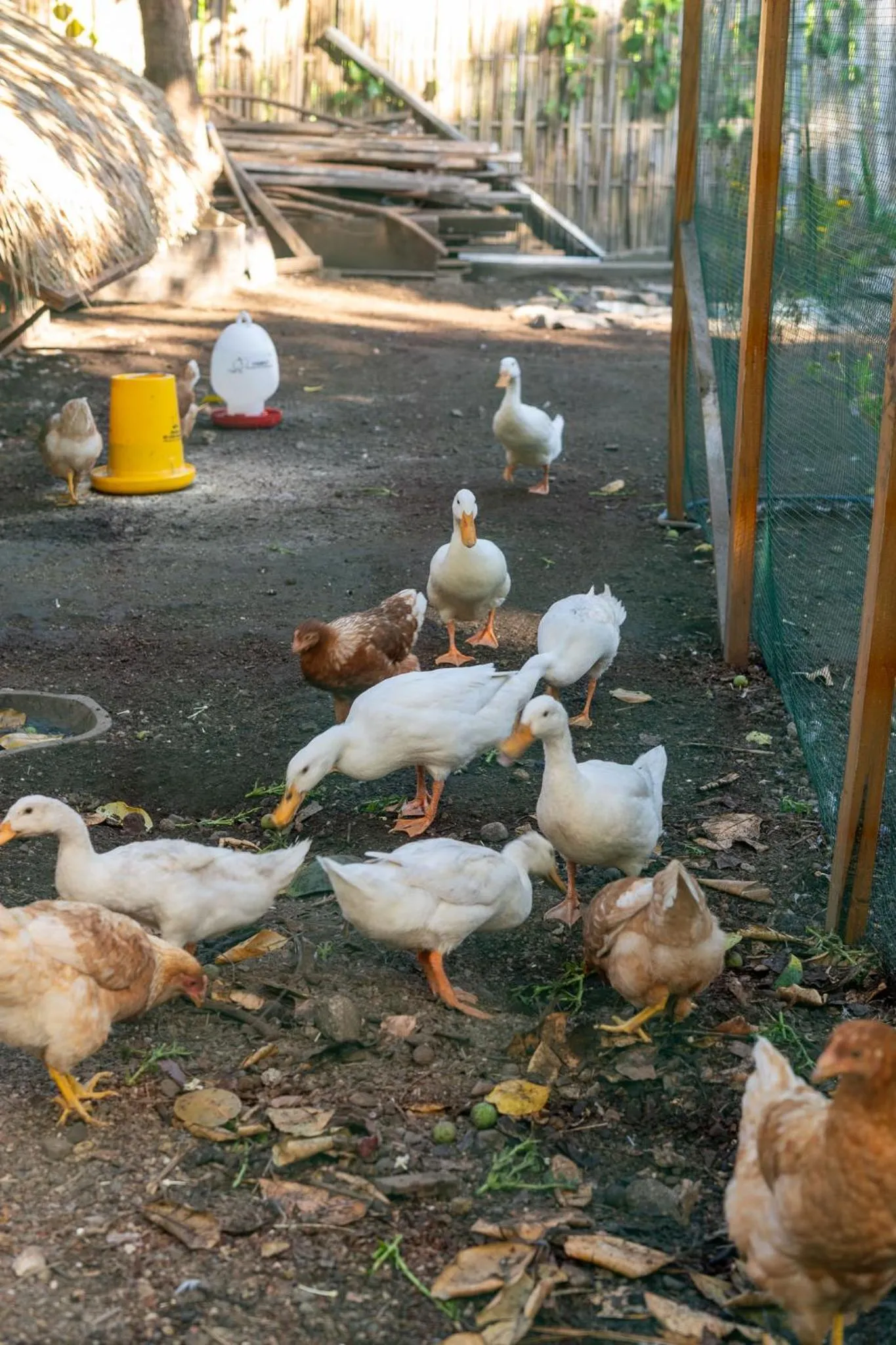 The Barefoot Blondie Village