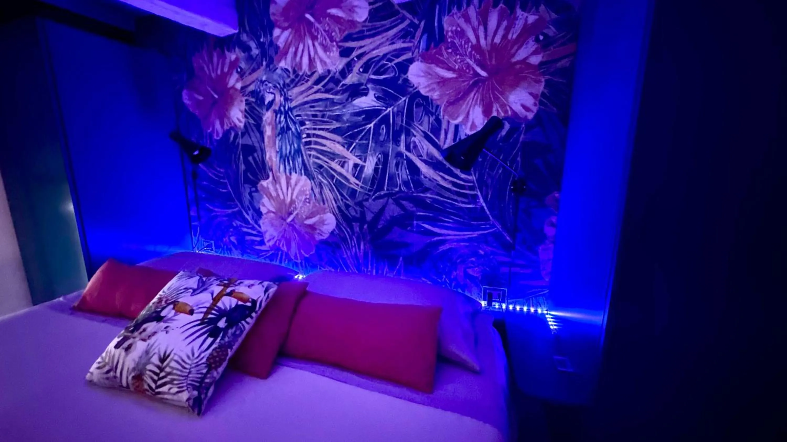 Bed in Open Suite Cobalto