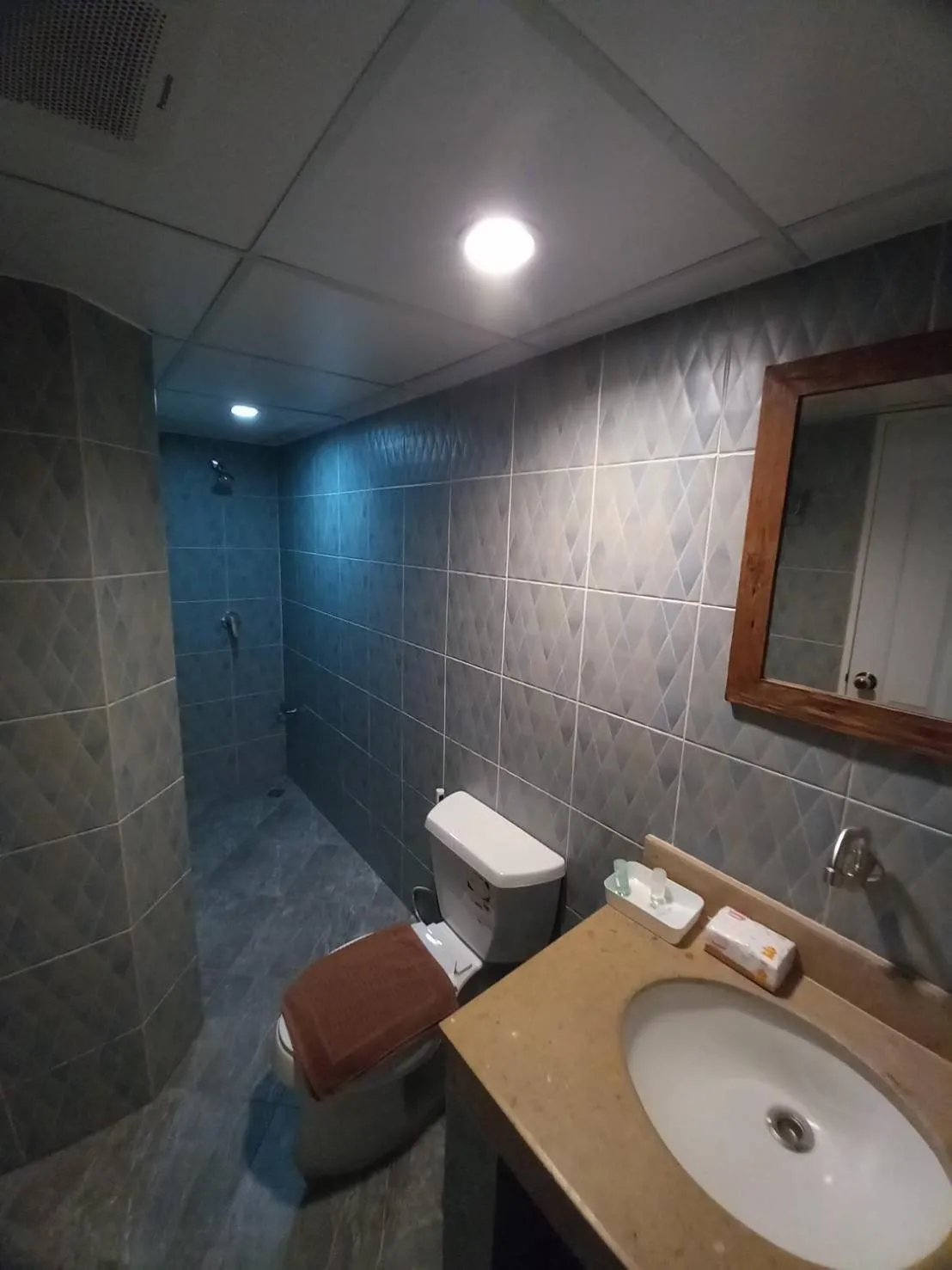 Shower in Valentier Cafe and Hotel