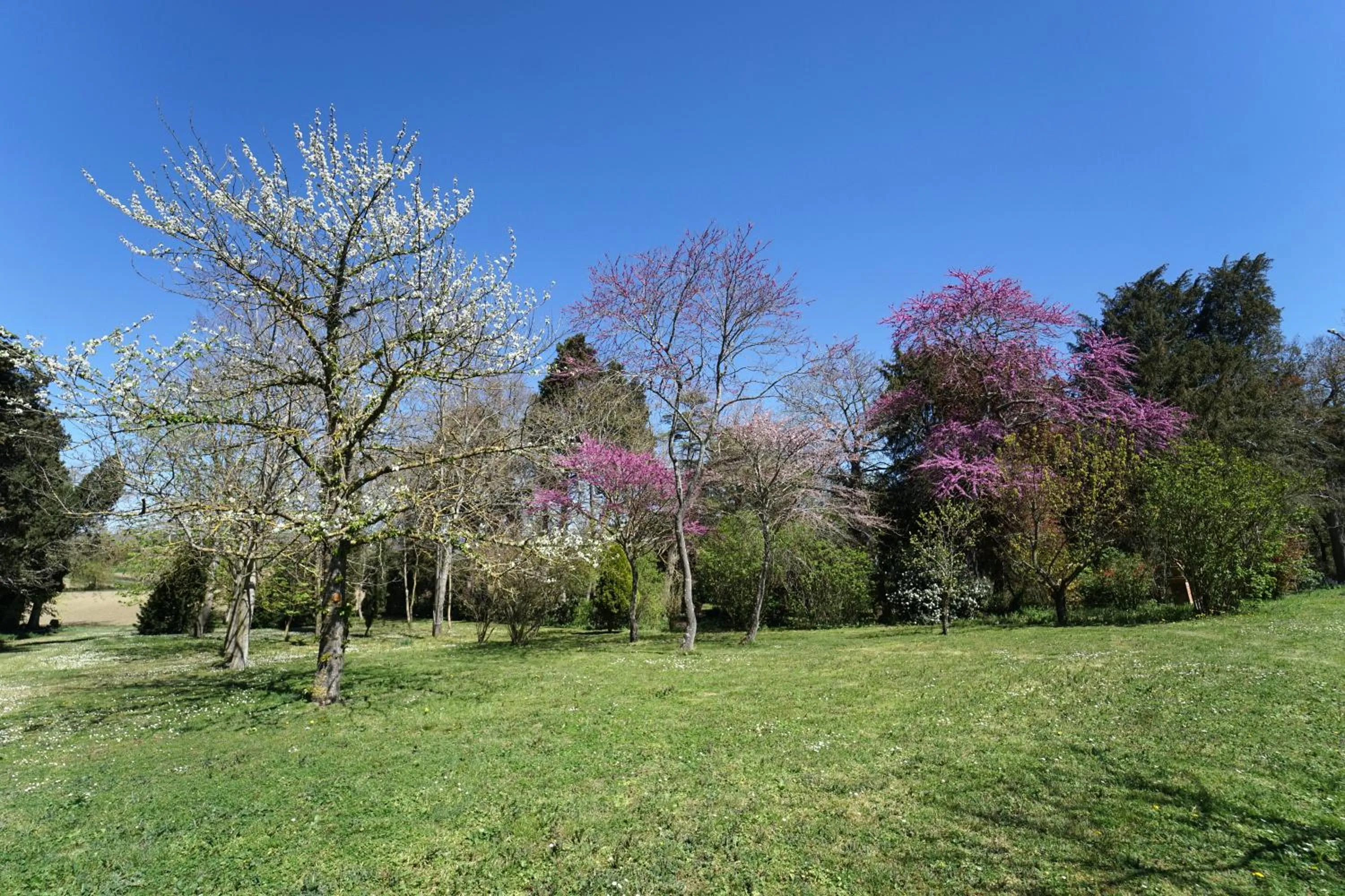Natural landscape in Domaine de Lanis - Chambres d'hôtes avec parc et piscine
