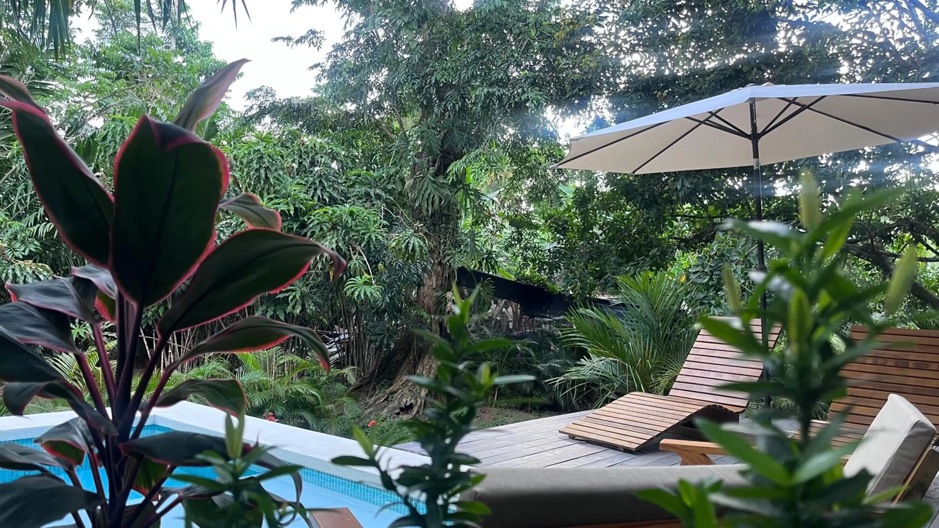 Garden in Namu Garden Hotel & Spa - Adults Only