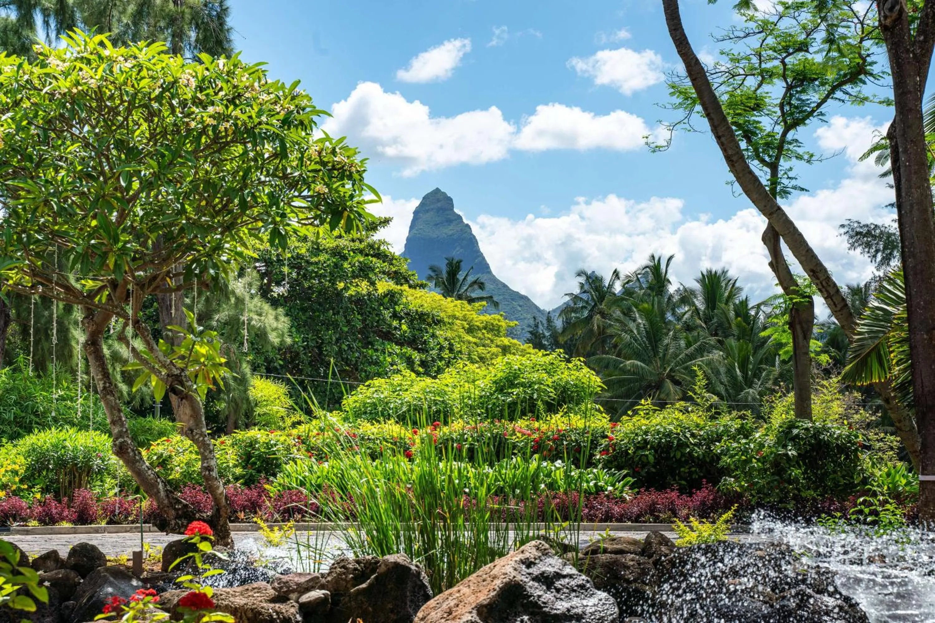 Garden in Hilton Mauritius Resort & Spa
