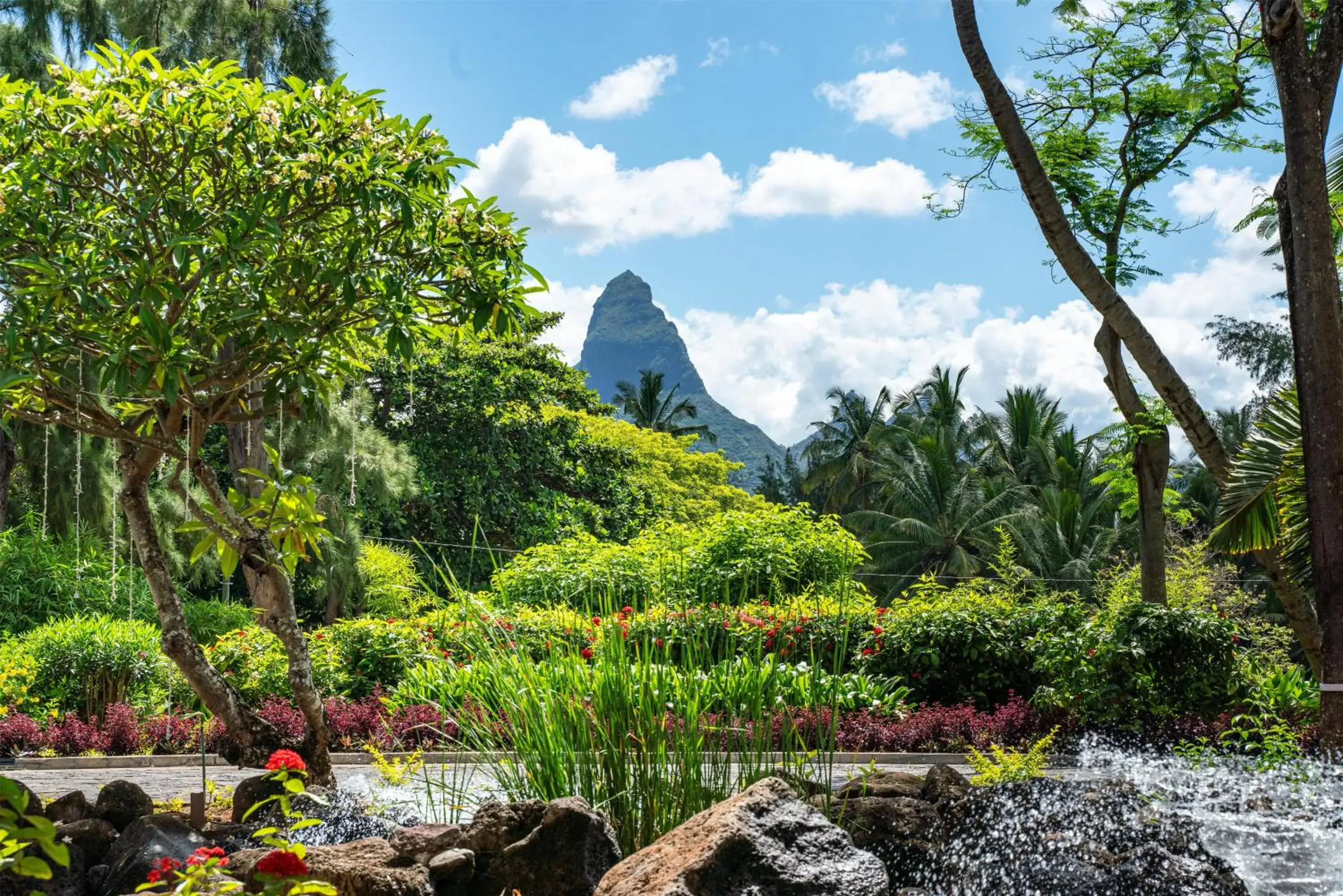 Garden in Hilton Mauritius Resort & Spa Garden in Hilton Mauritius Resort & Spa