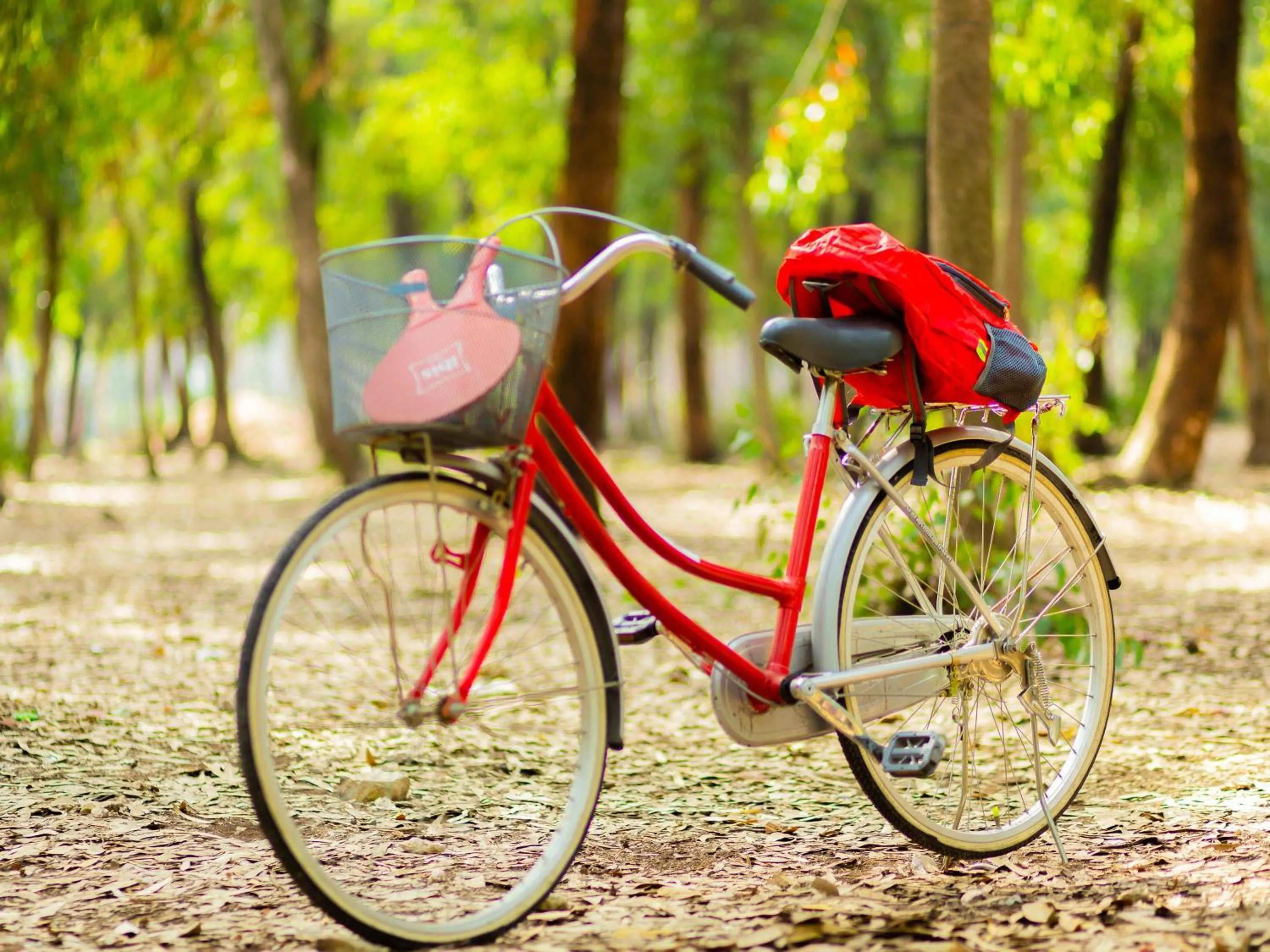 Other in Ibis El Jadida