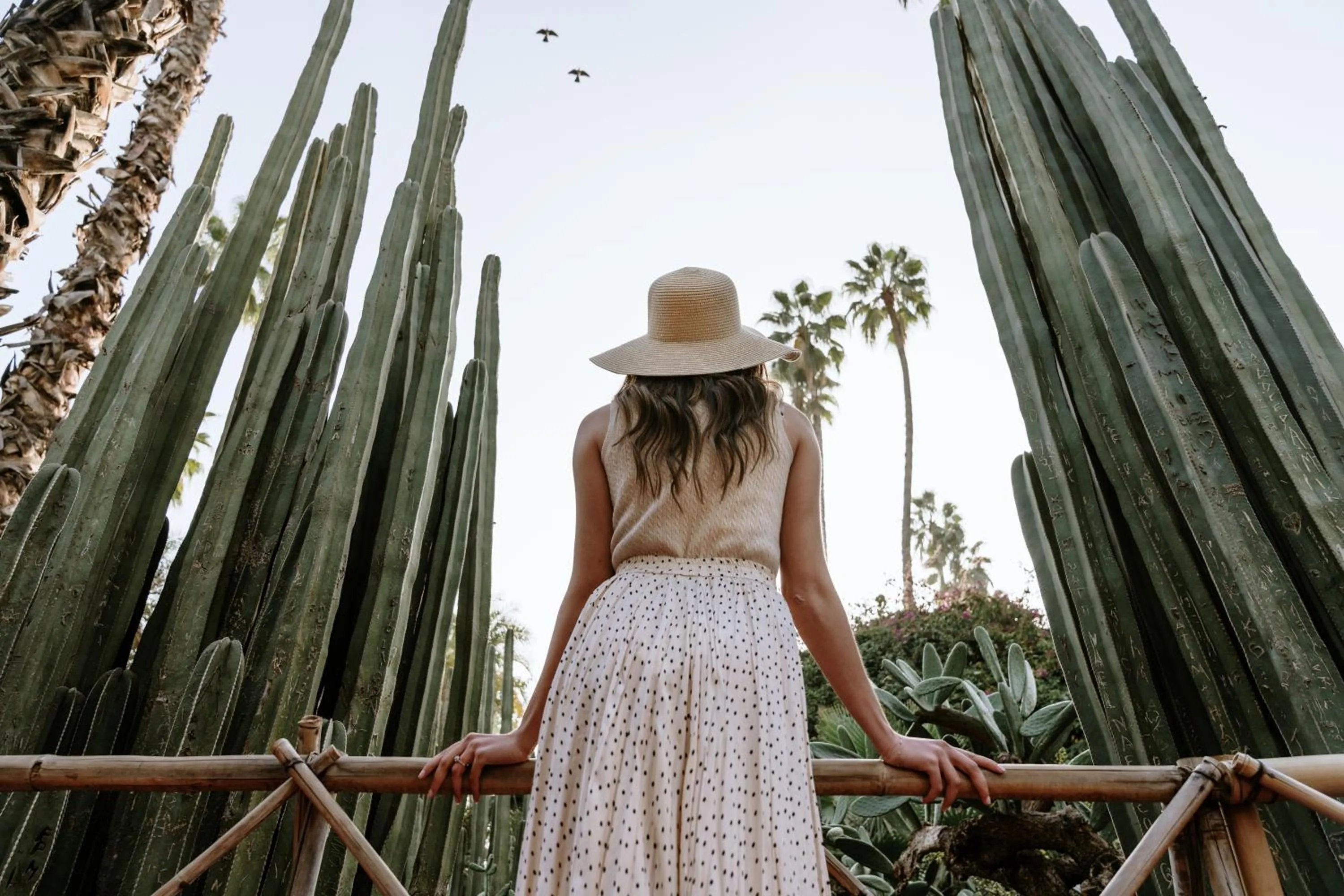 Entertainment in Ibis Marrakech Centre Gare