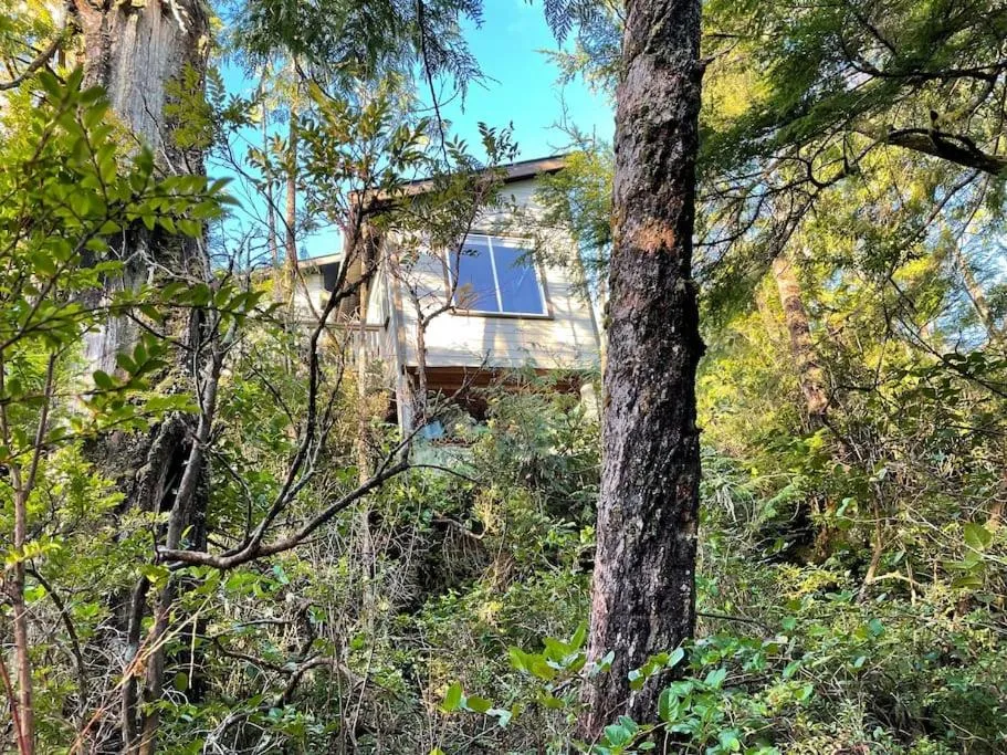 Property building in Brown's Beach Guest Suite