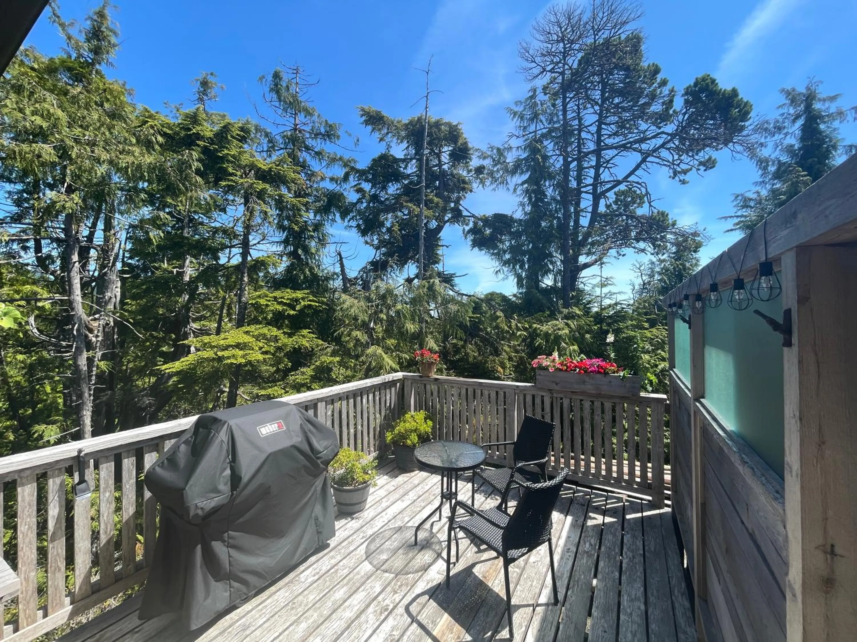 Brown's Beach Guest Suite