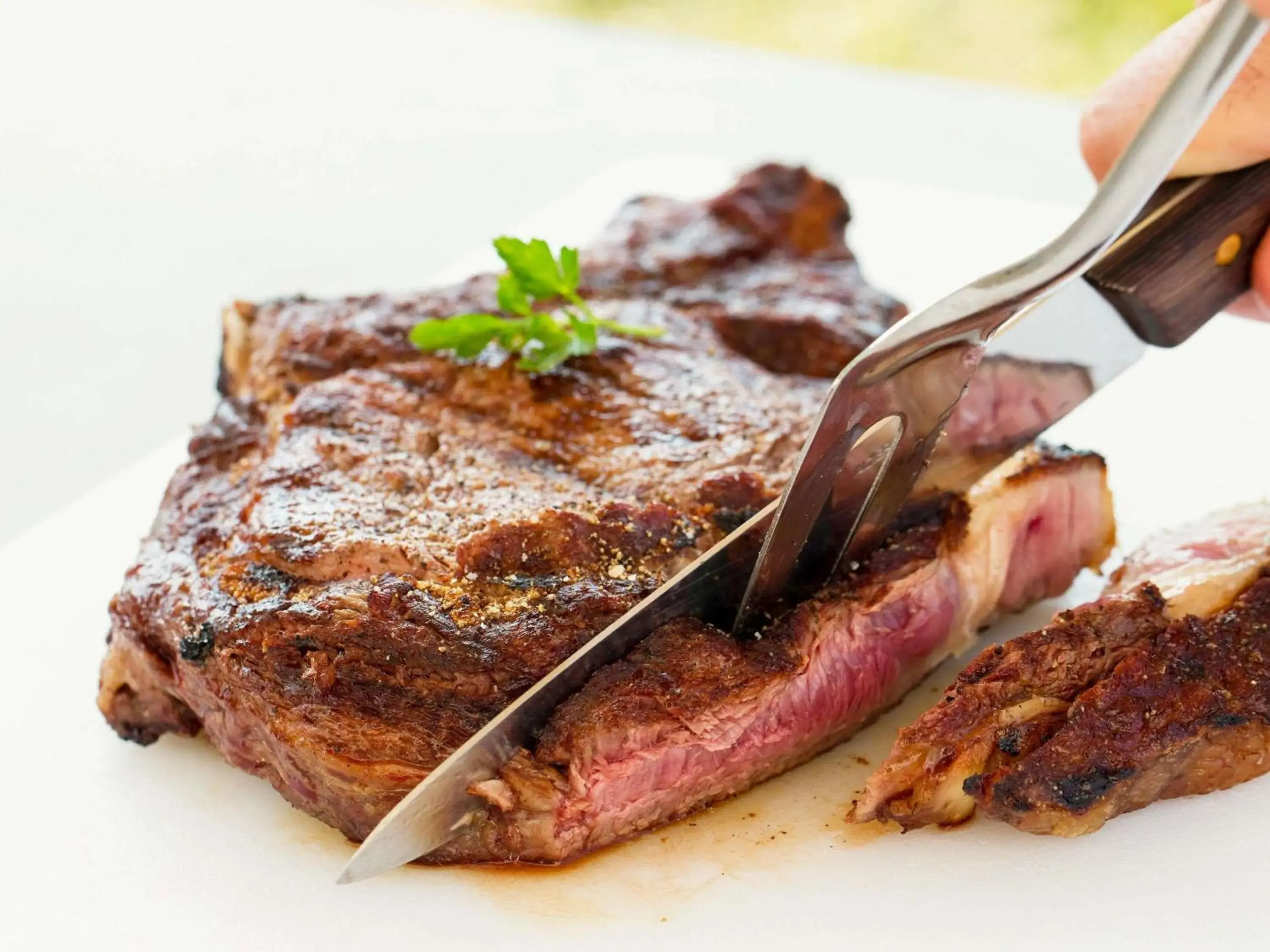 Restaurant/places to eat in Ibis Oujda Restaurant/places to eat in Ibis Oujda