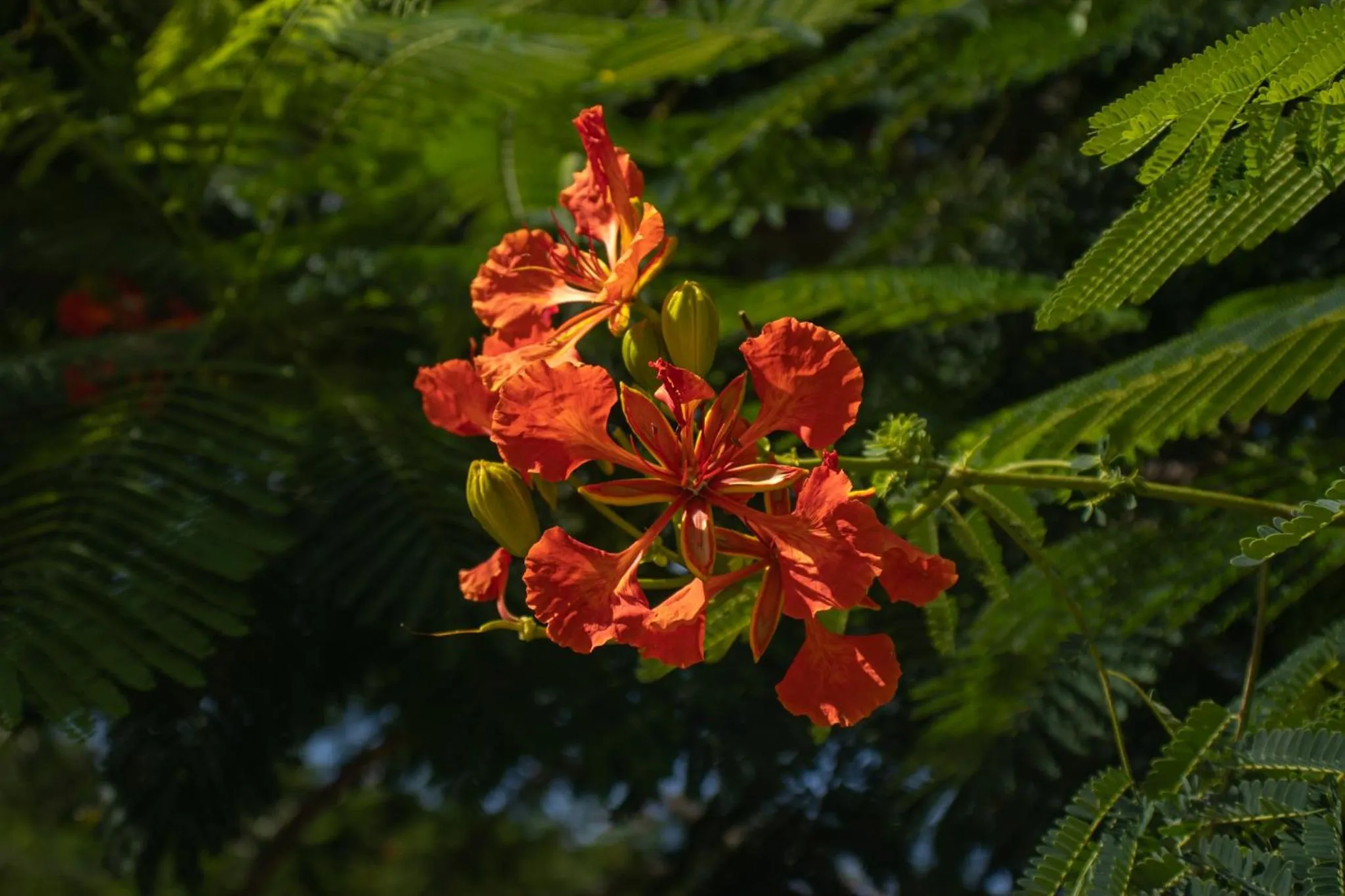 Natural landscape in The Serene House Bed & Breakfast