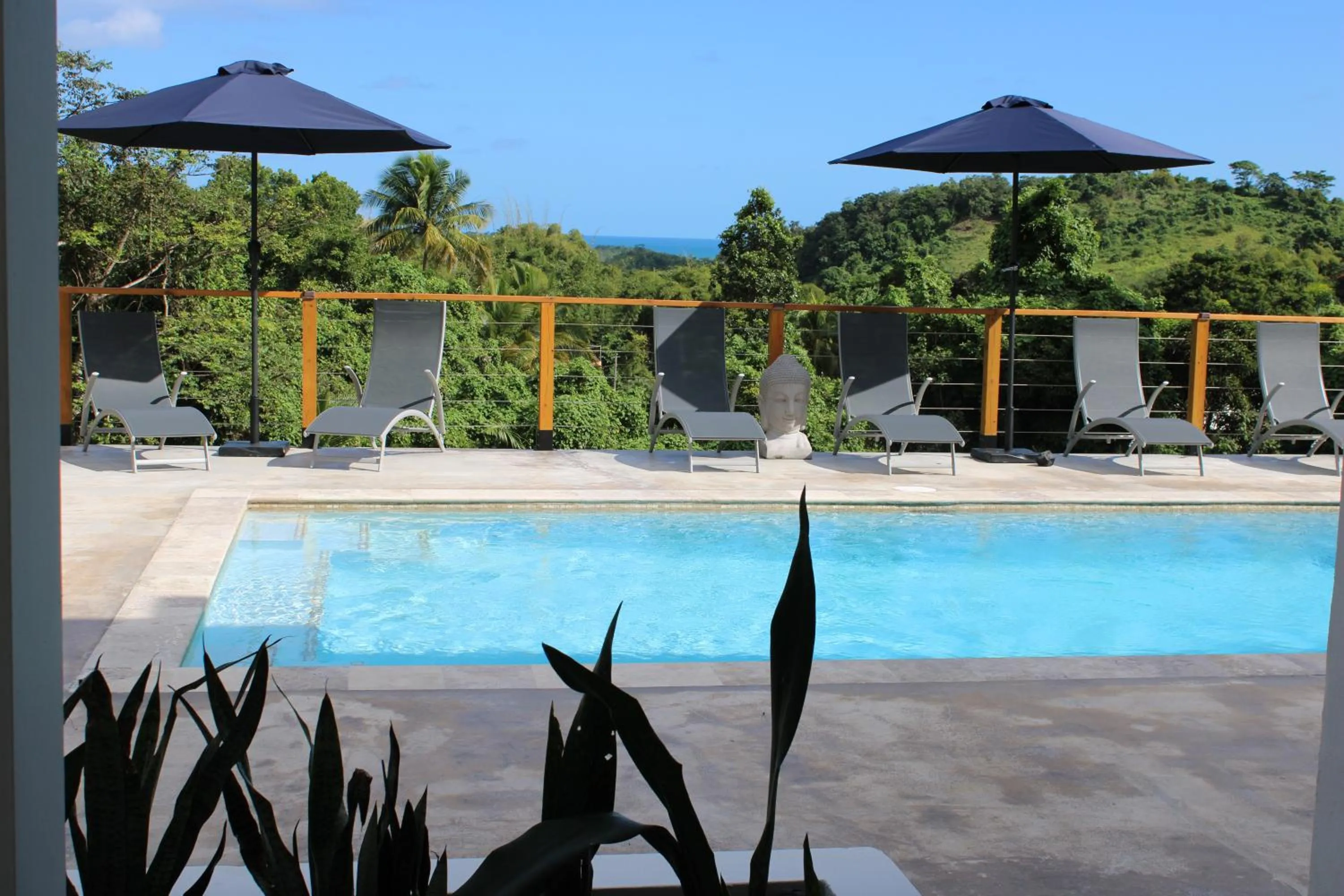 Day in The Serene House Bed & Breakfast