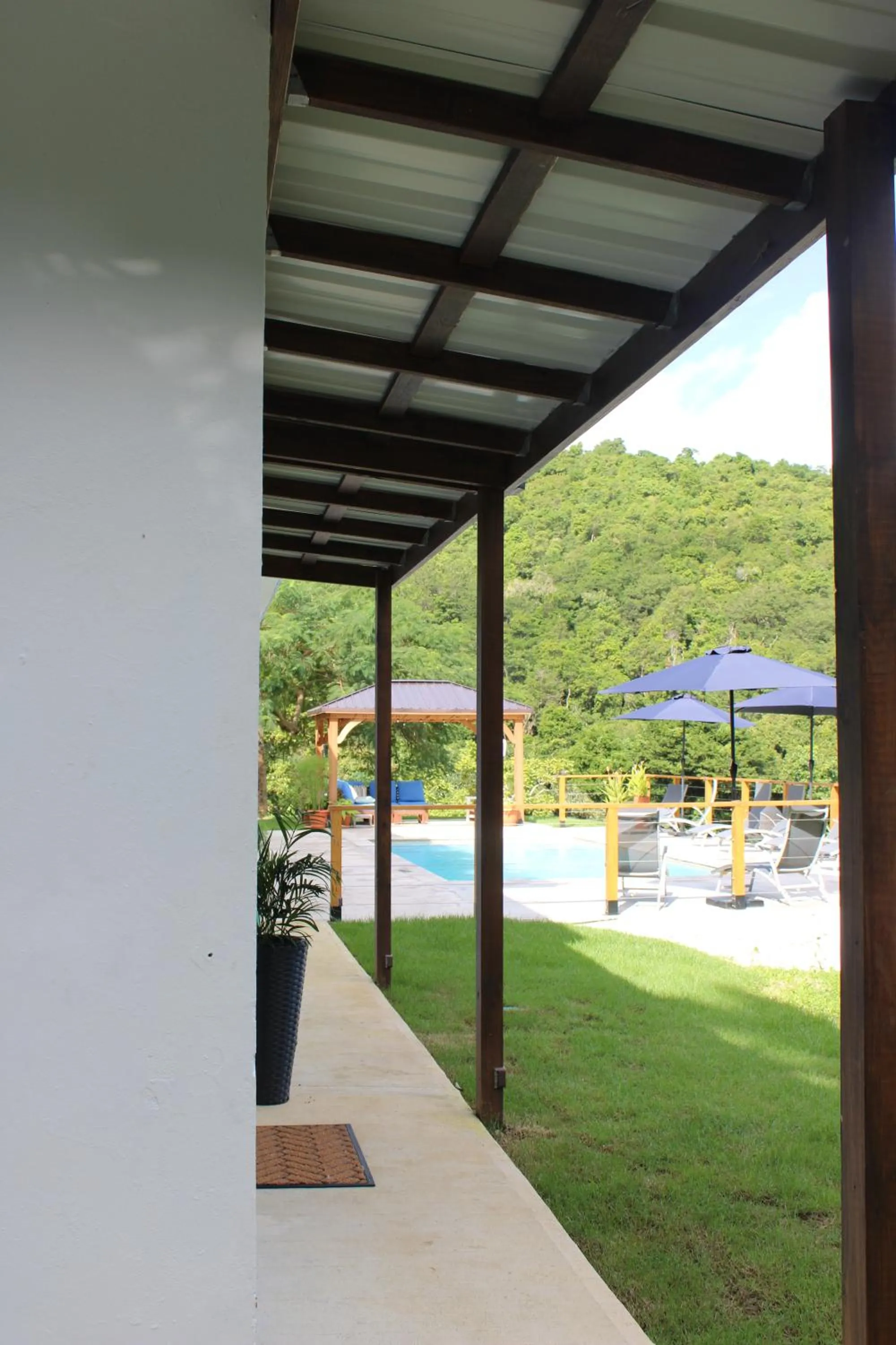 Garden in The Serene House Bed & Breakfast