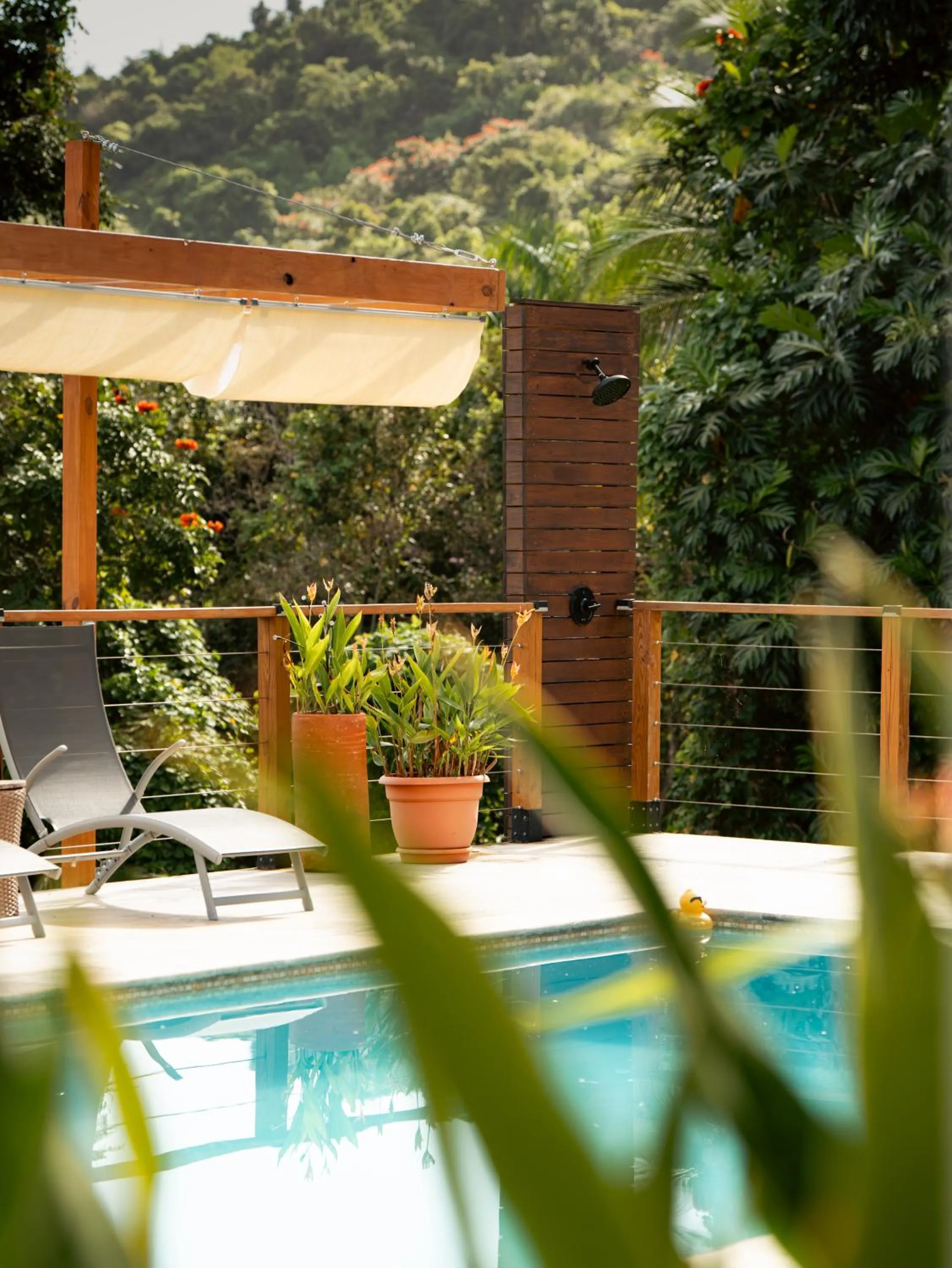 Swimming pool in The Serene House Bed & Breakfast